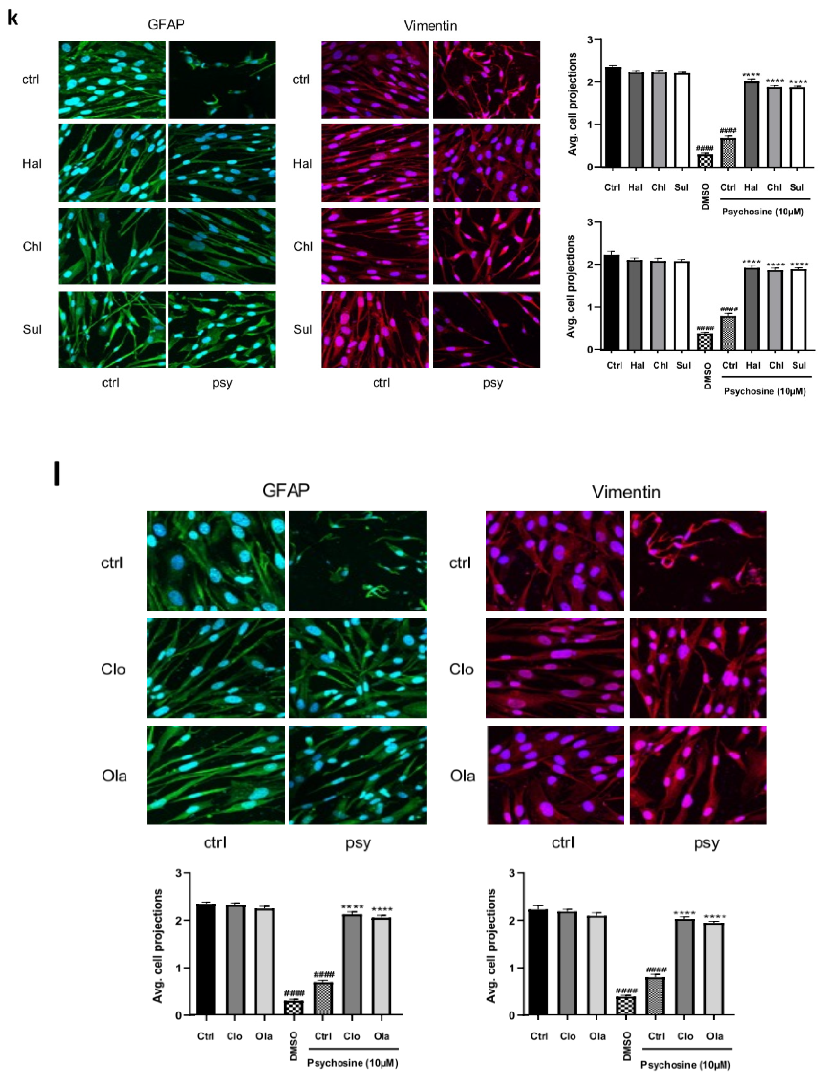 Biomedicines 11 01313 g001b