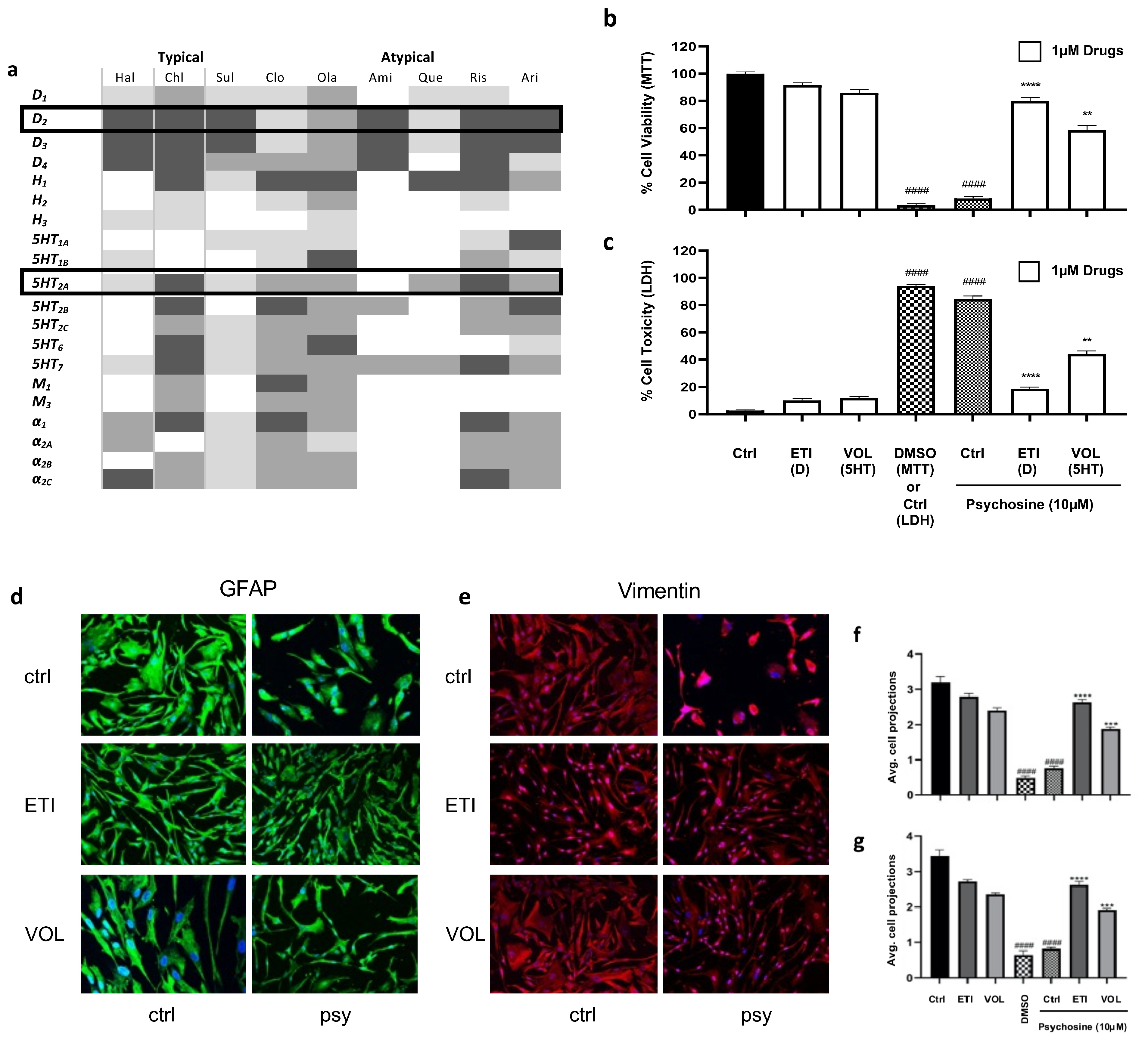 Biomedicines 11 01313 g002