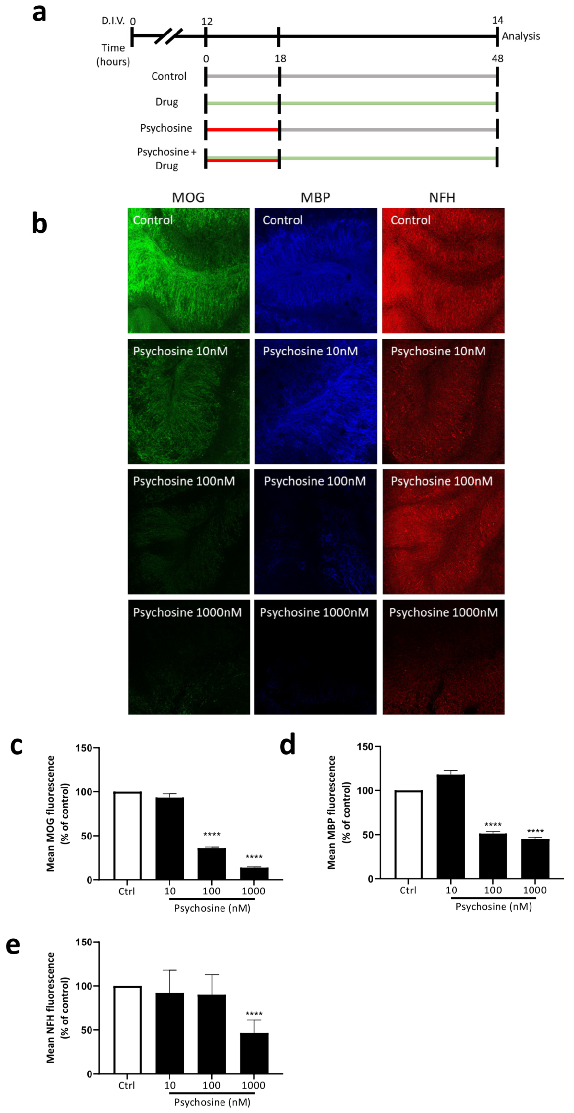 Biomedicines 11 01313 g003a