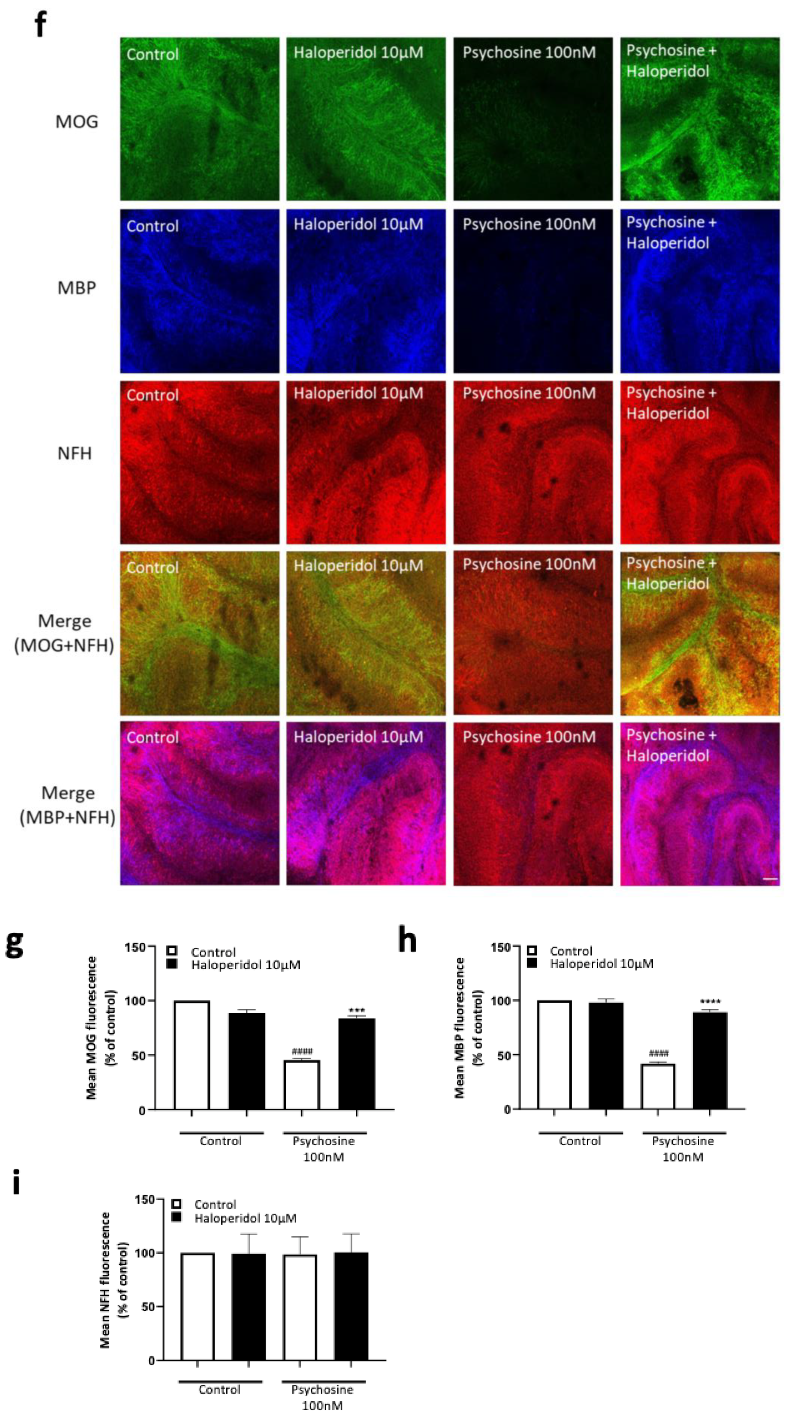 Biomedicines 11 01313 g003b