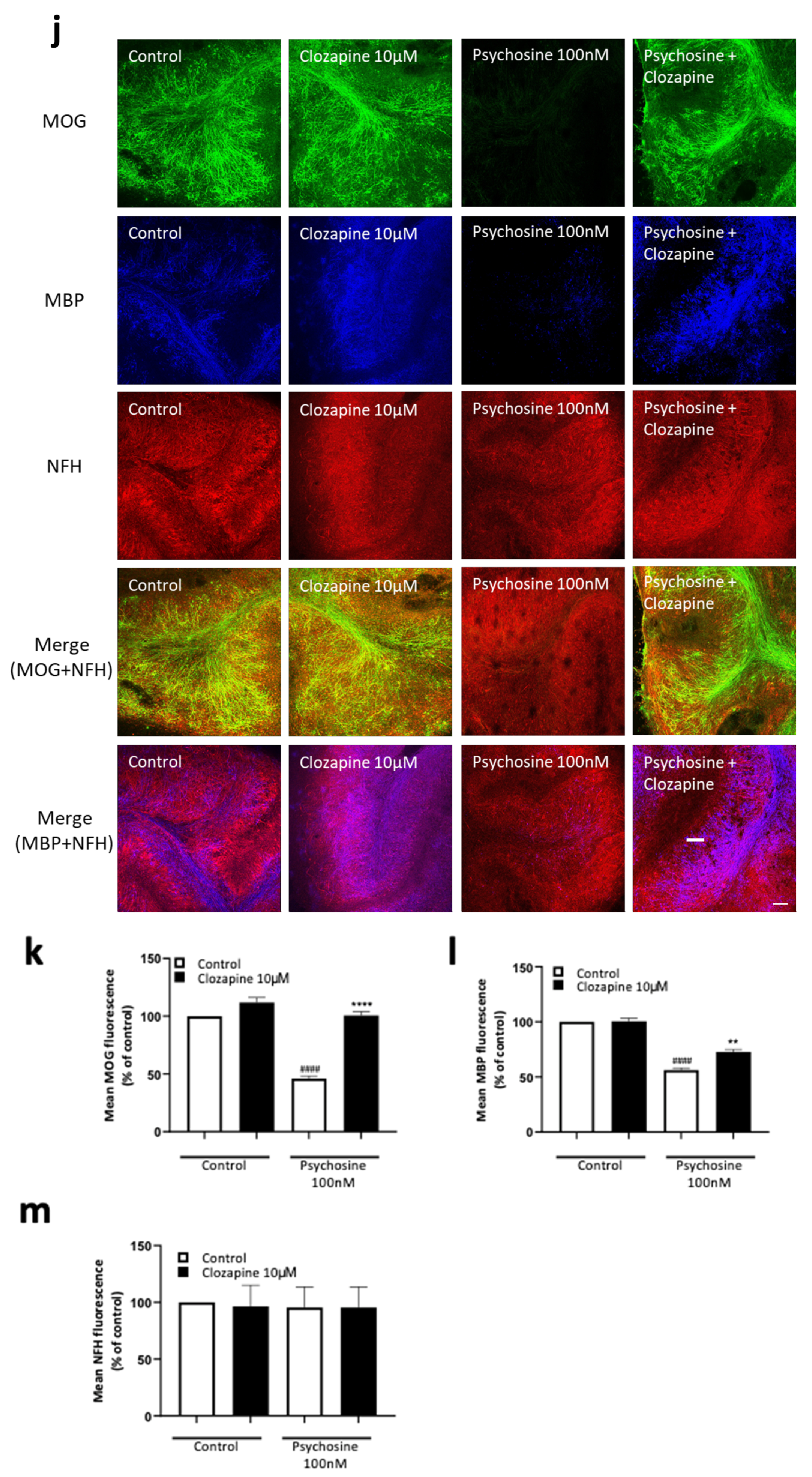 Biomedicines 11 01313 g003c