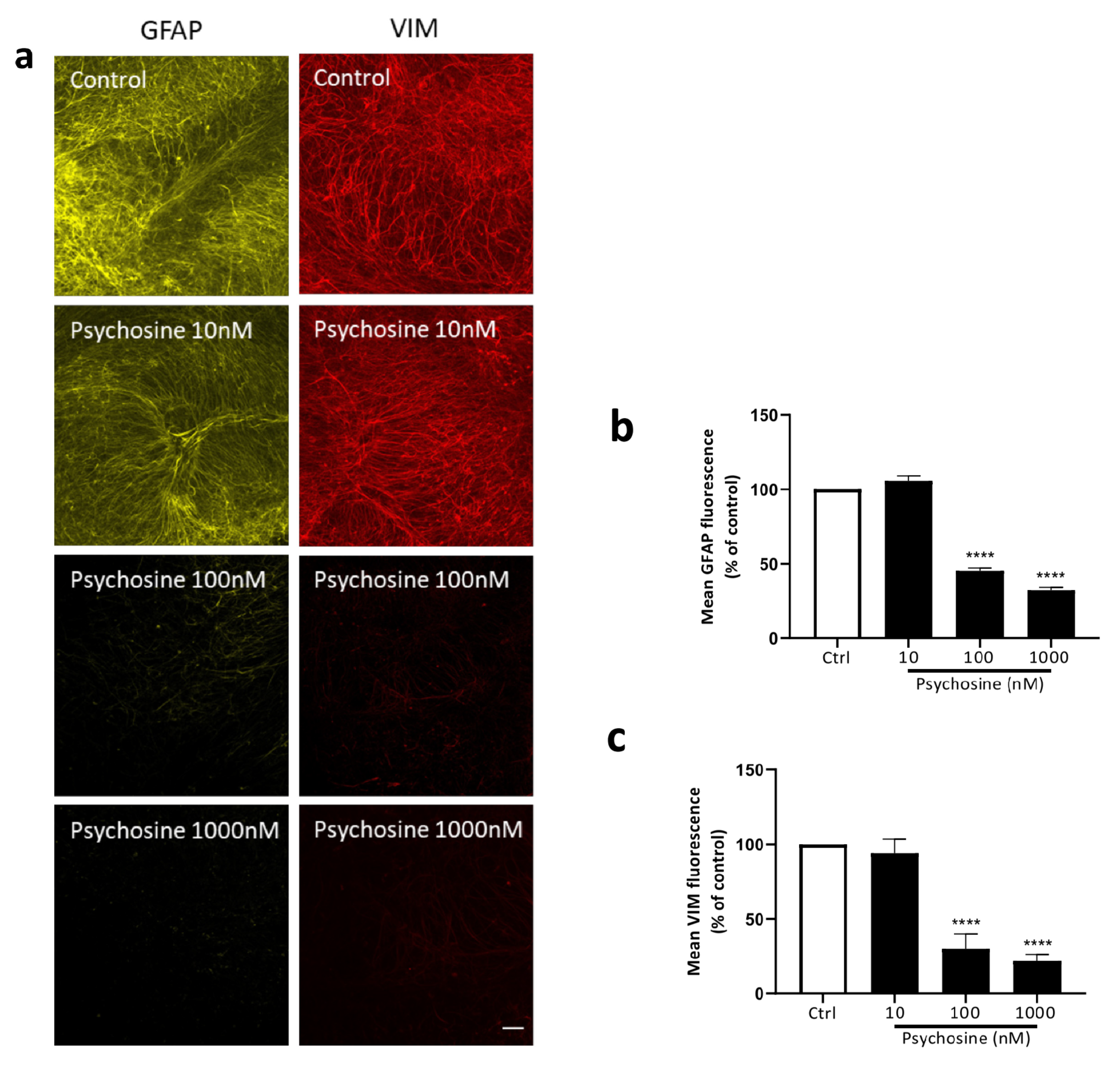 Biomedicines 11 01313 g004a