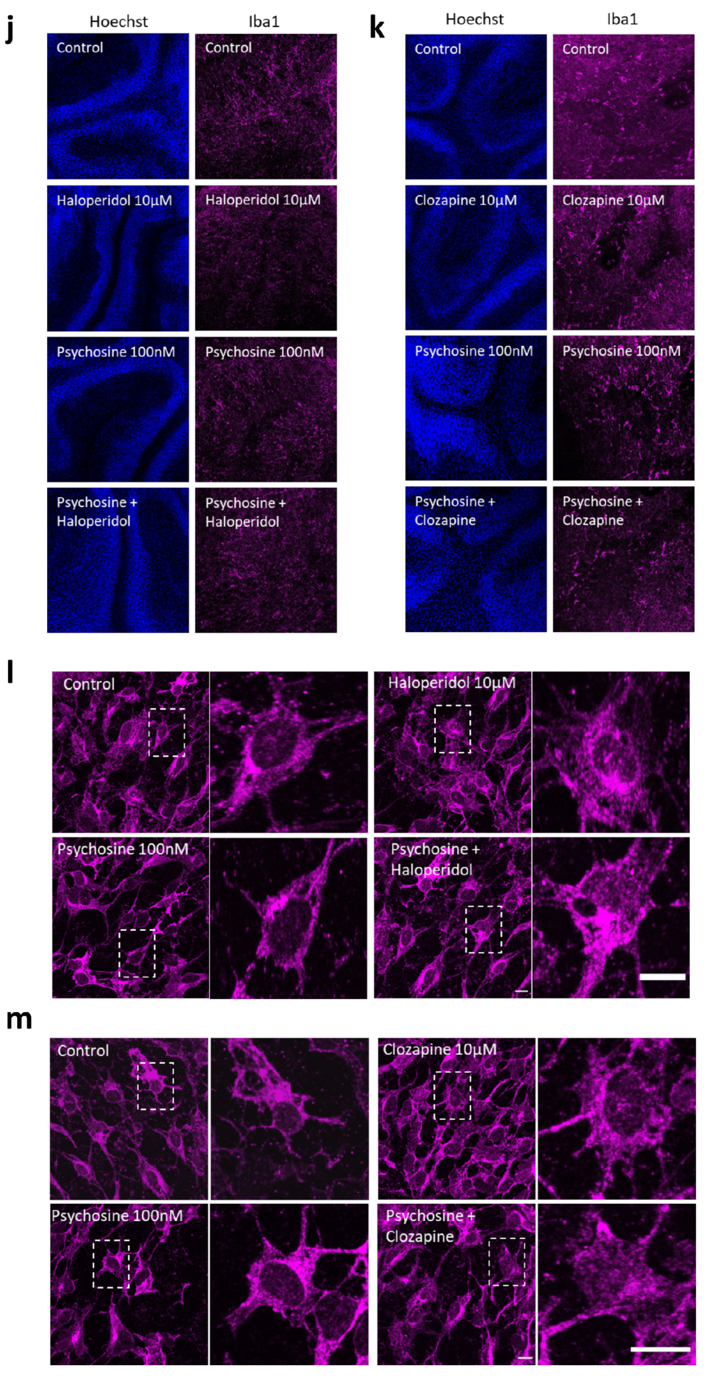 Biomedicines 11 01313 g004c