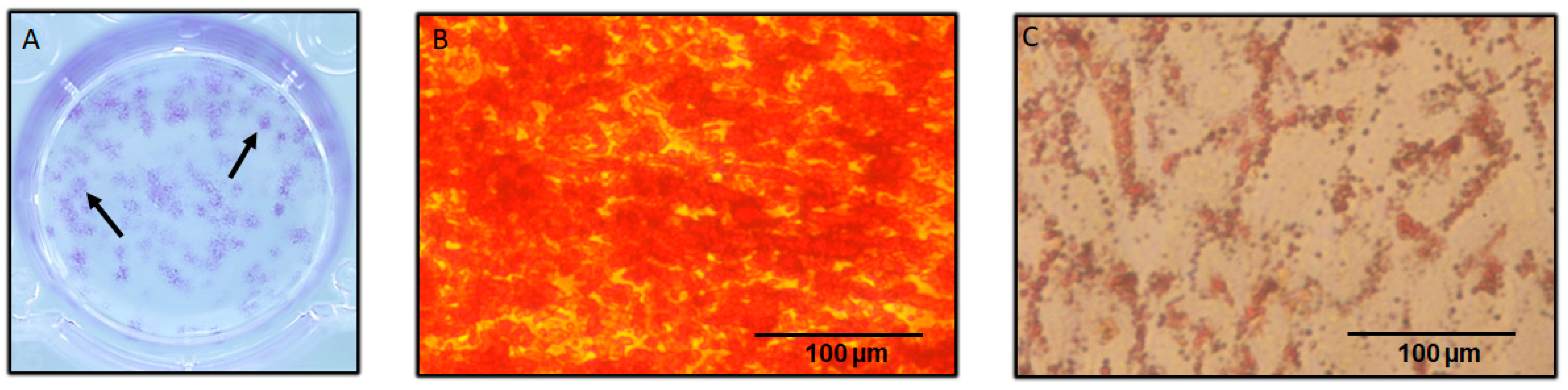 Biomedicines 11 01314 g002 Biomedicines 11 01314 g002