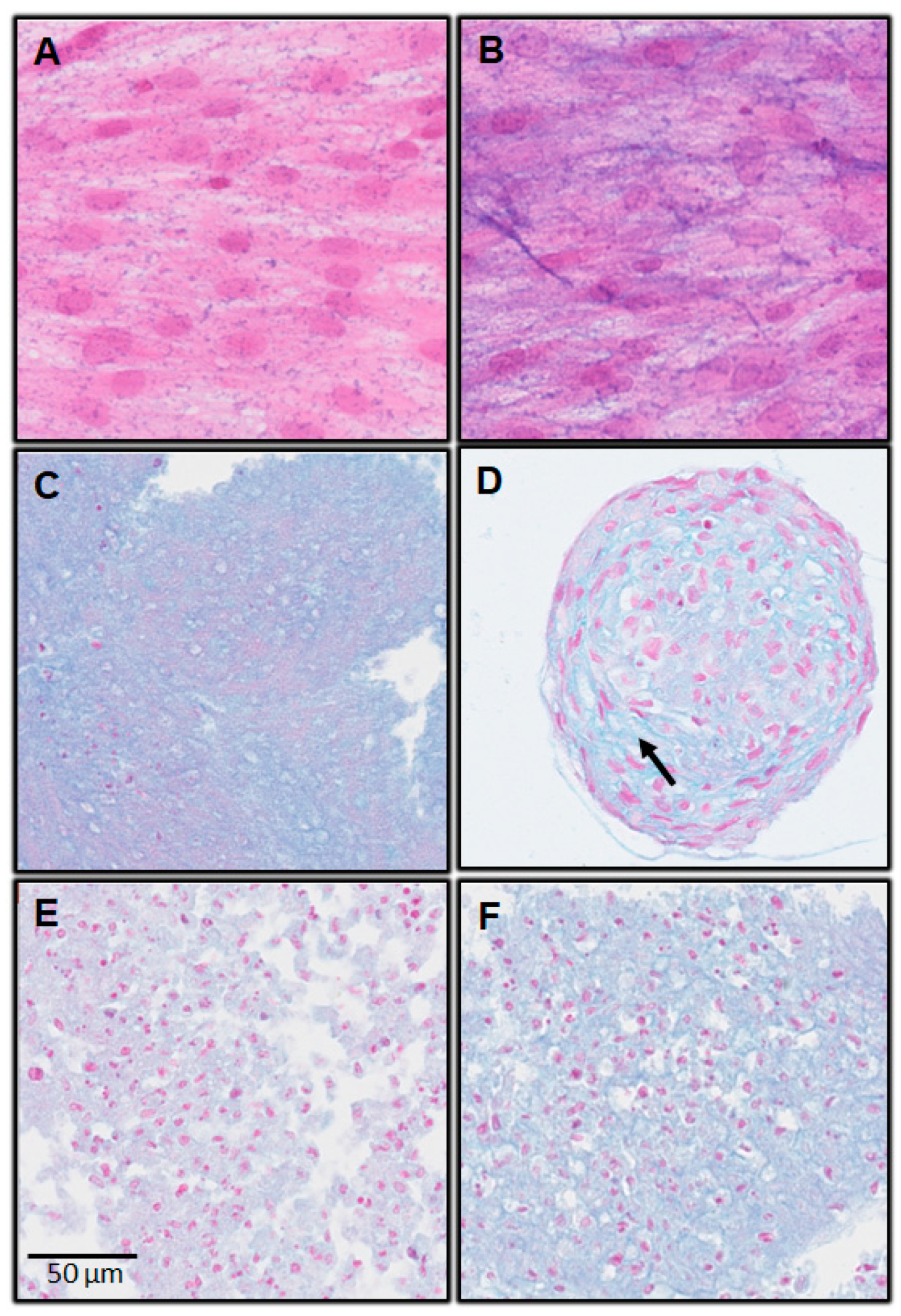 Biomedicines 11 01314 g003 Biomedicines 11 01314 g003