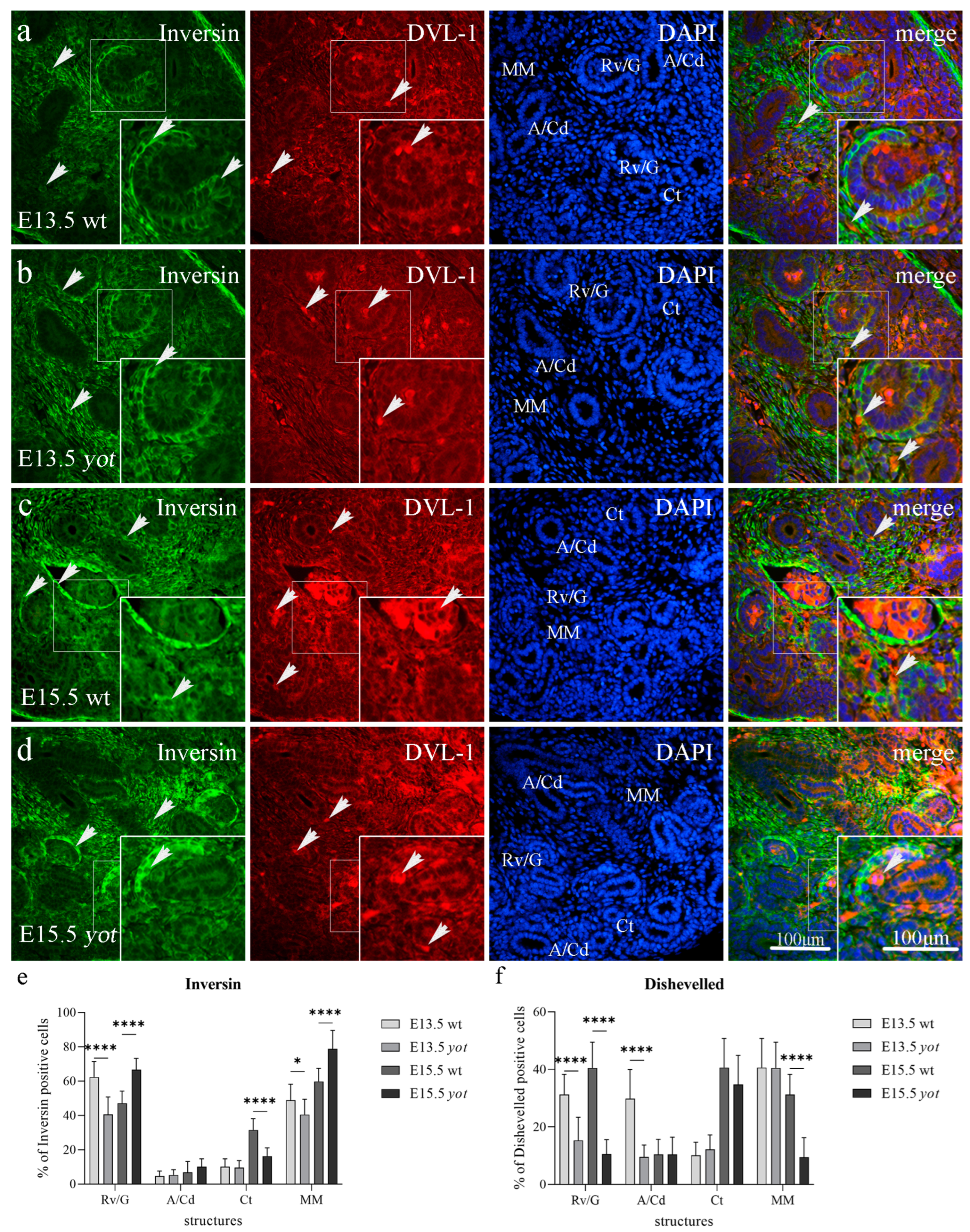 Biomedicines 11 01321 g002 Biomedicines 11 01321 g002