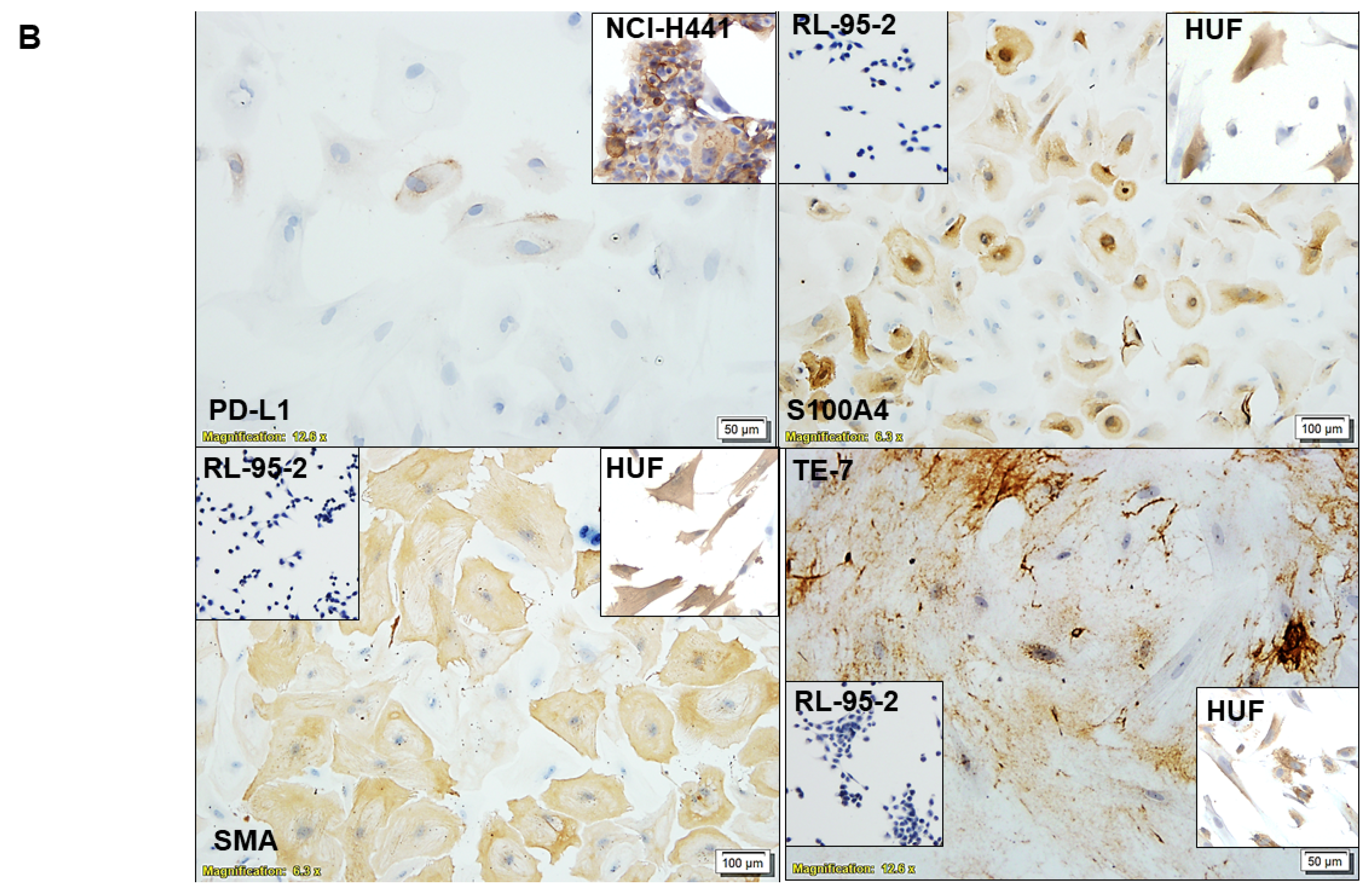 Biomedicines 11 01326 g002b