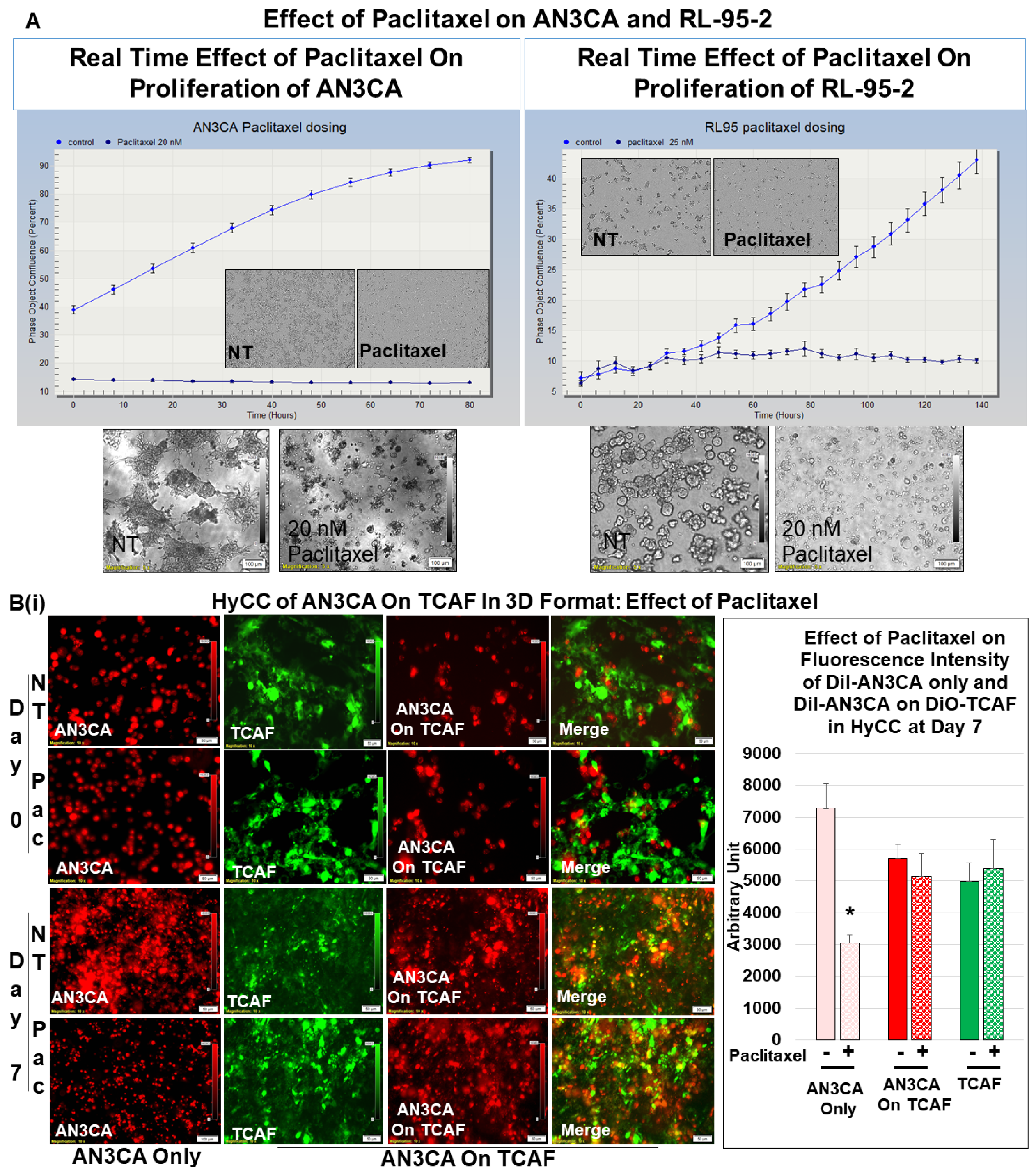 Biomedicines 11 01326 g005a