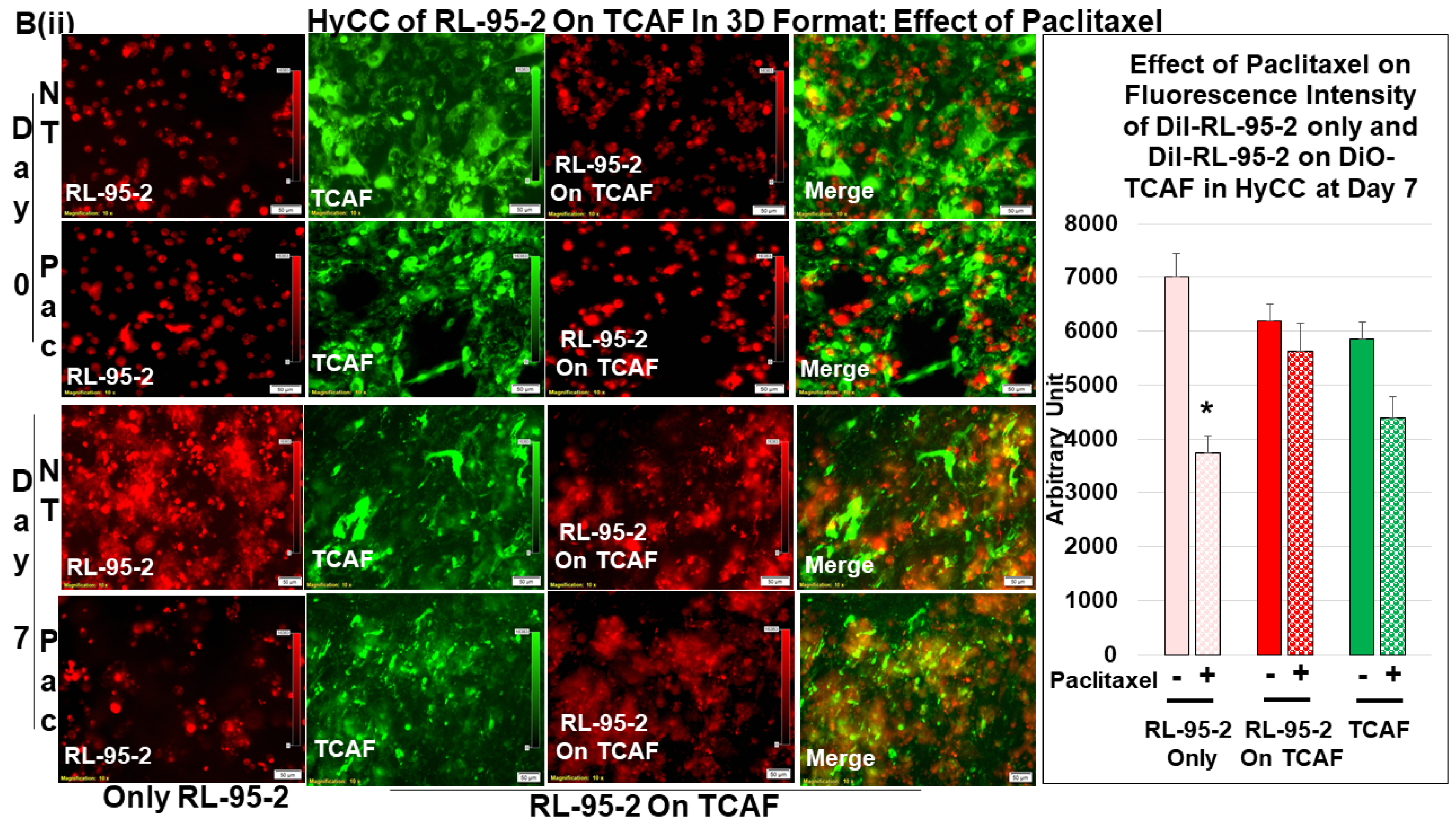 Biomedicines 11 01326 g005b