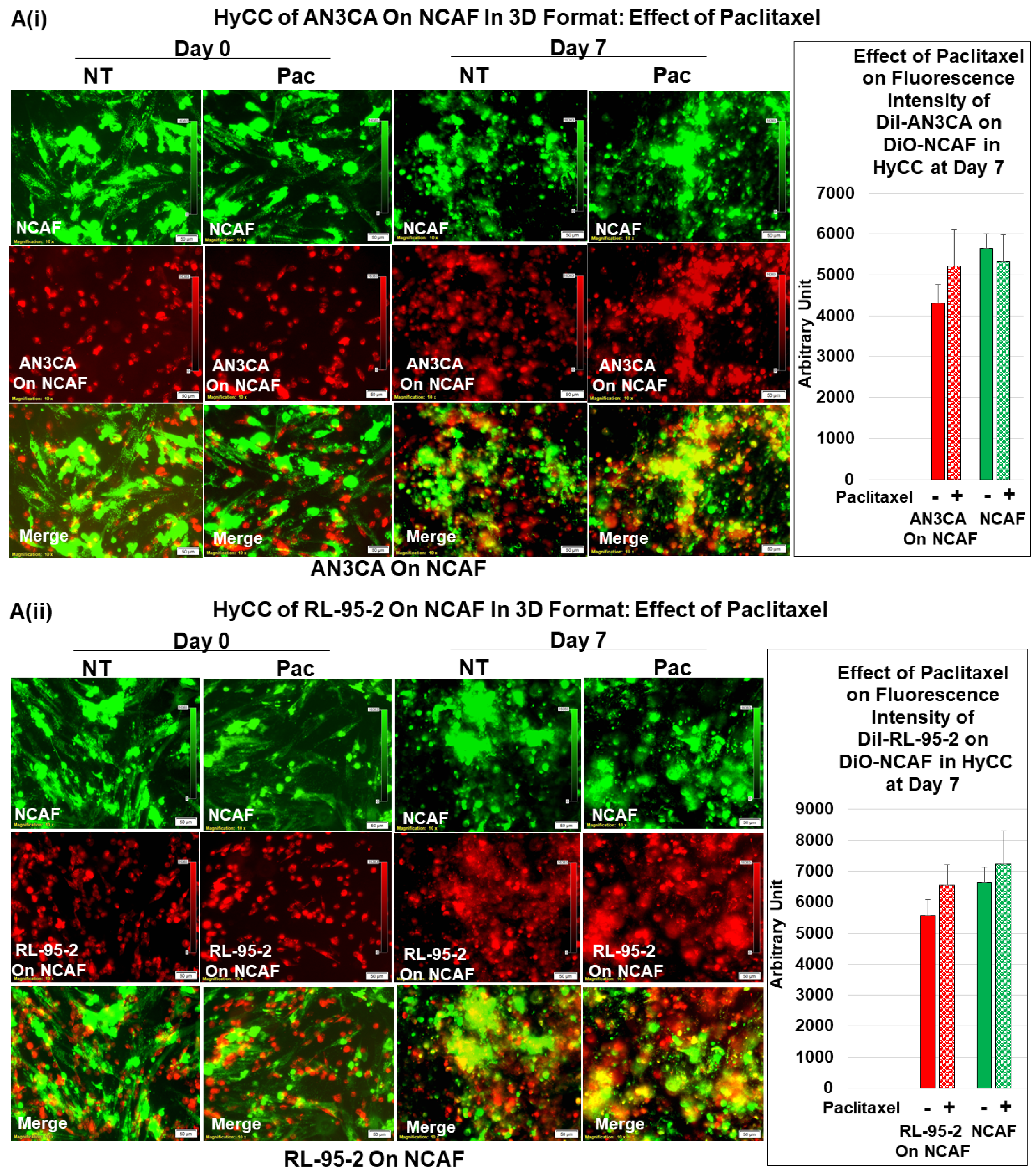 Biomedicines 11 01326 g006