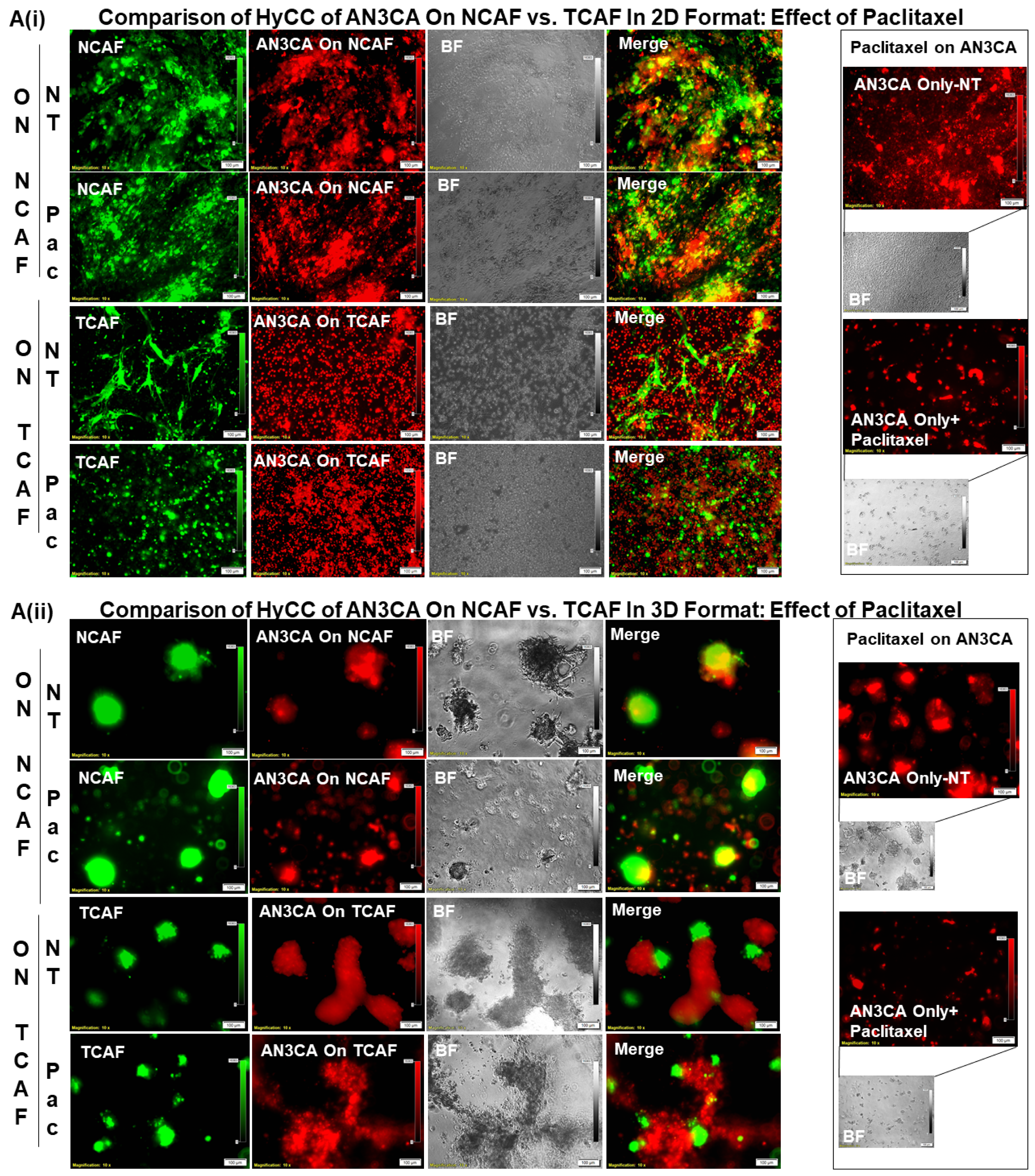 Biomedicines 11 01326 g007