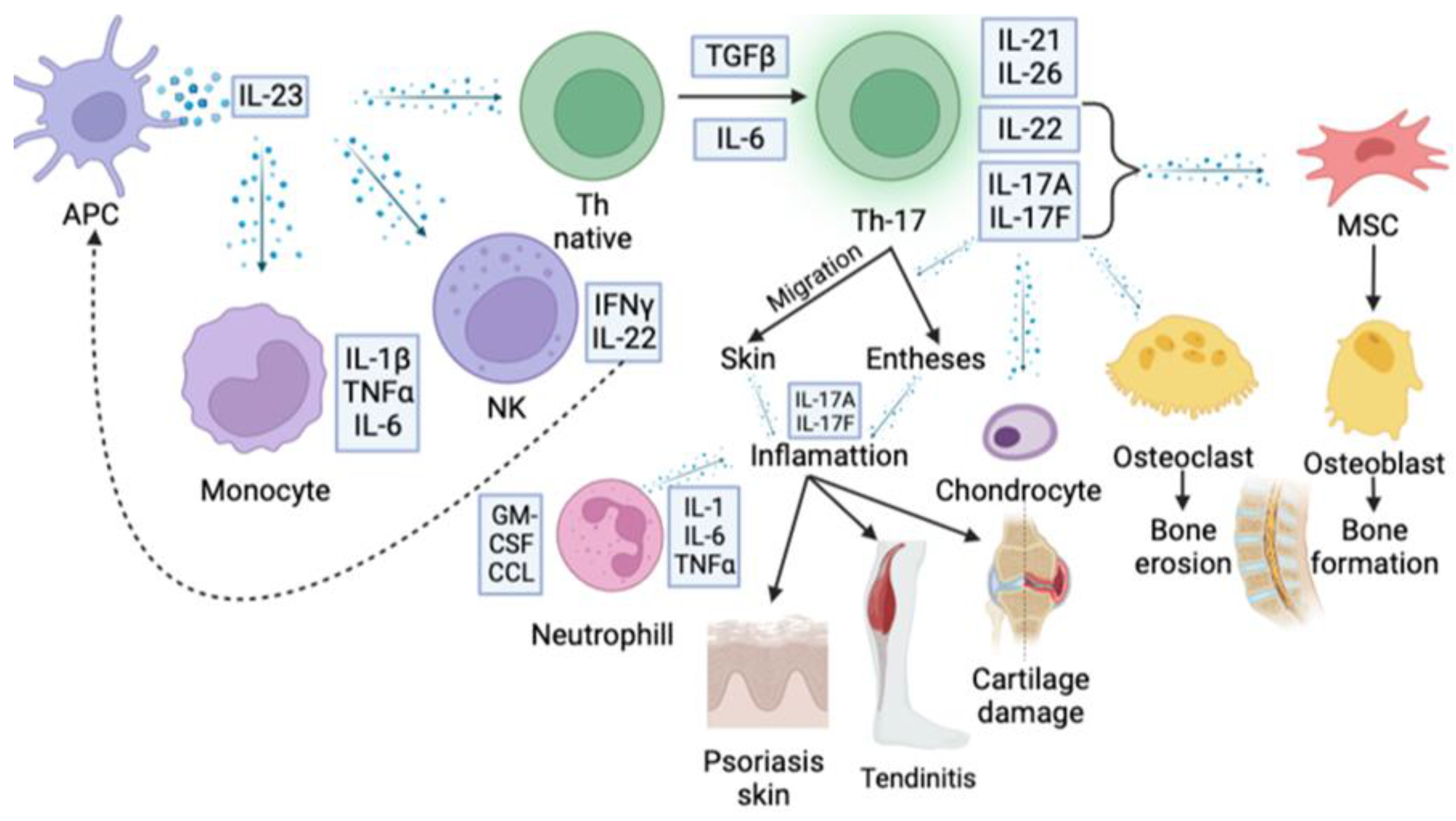 Biomedicines 11 01328 g002 Biomedicines 11 01328 g002