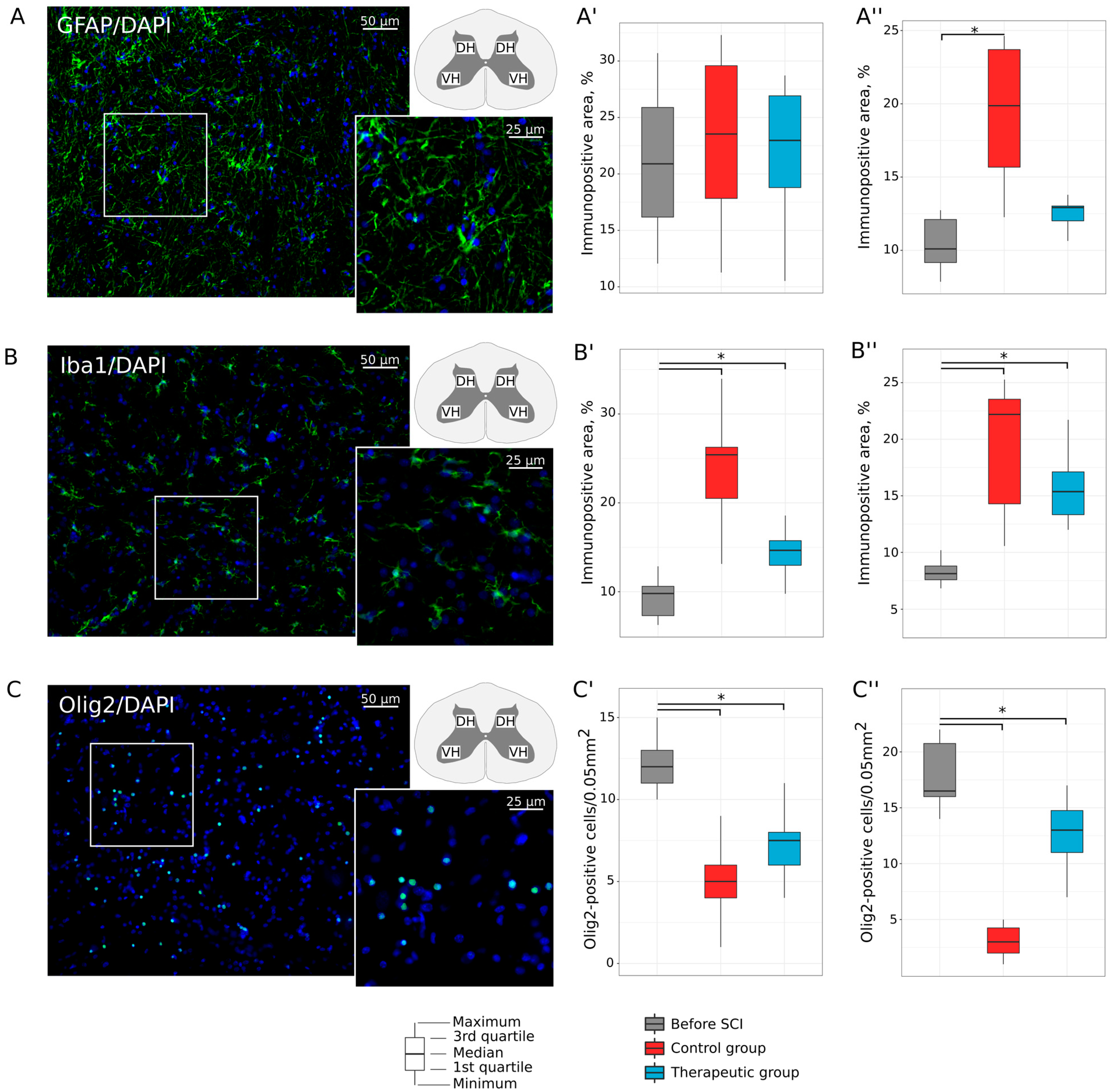 Biomedicines 11 01331 g005