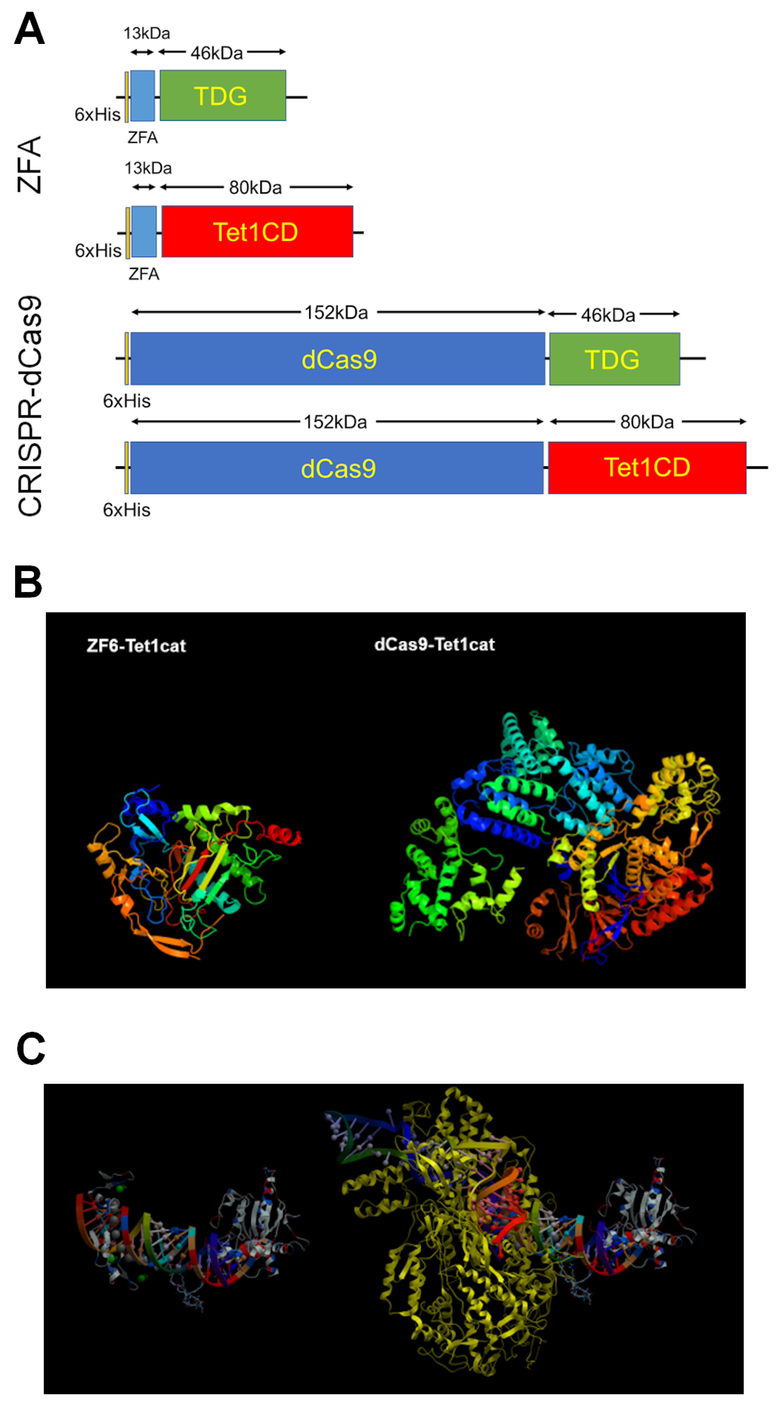 Biomedicines 11 01334 g002
