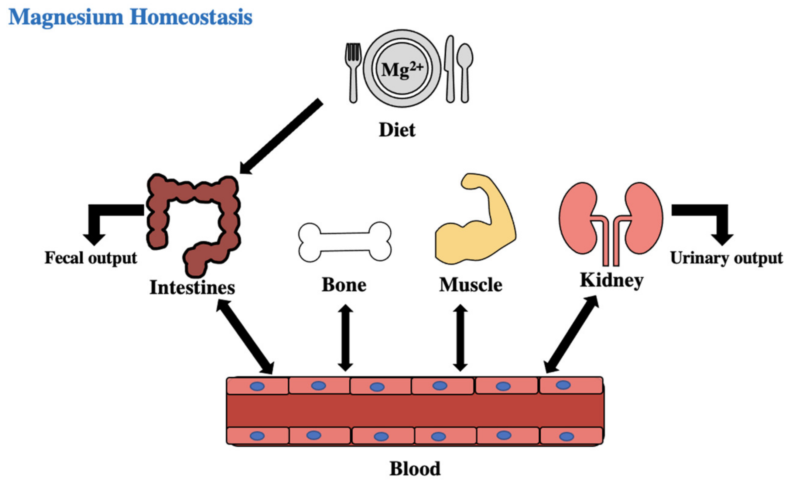 Biomedicines 11 01343 g001 Biomedicines 11 01343 g001