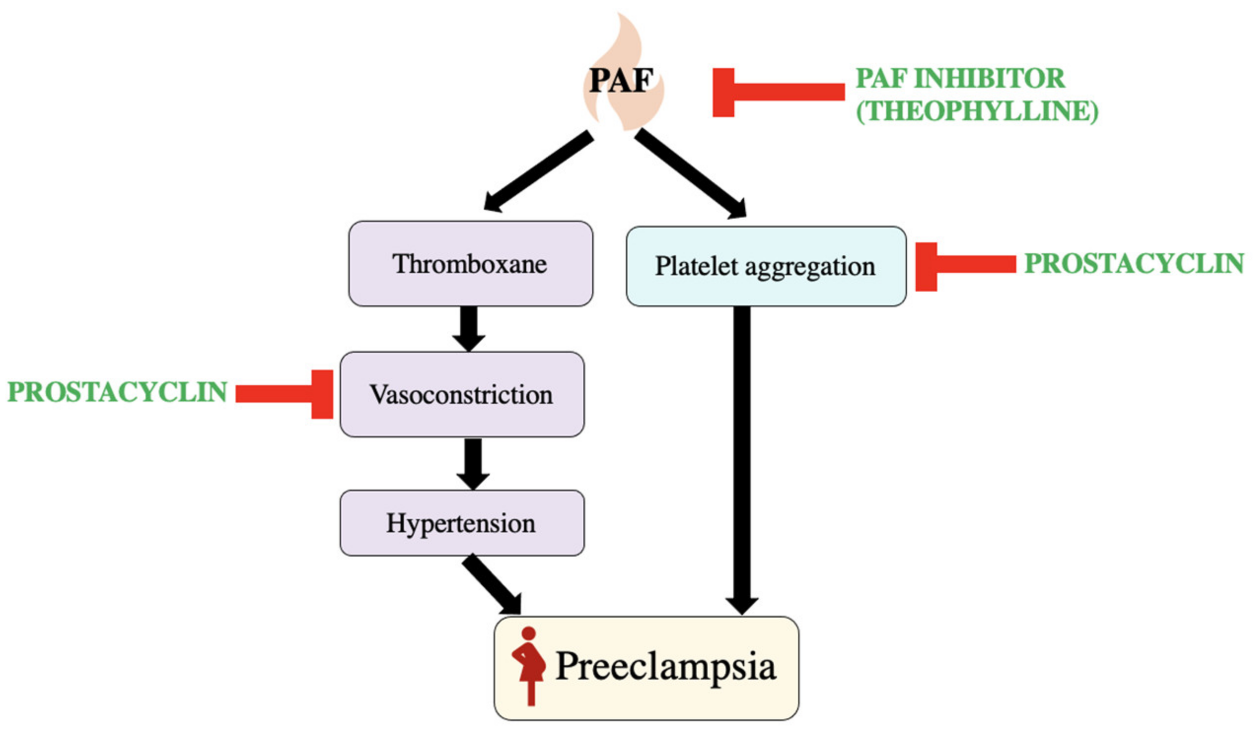 Biomedicines 11 01343 g005 Biomedicines 11 01343 g005