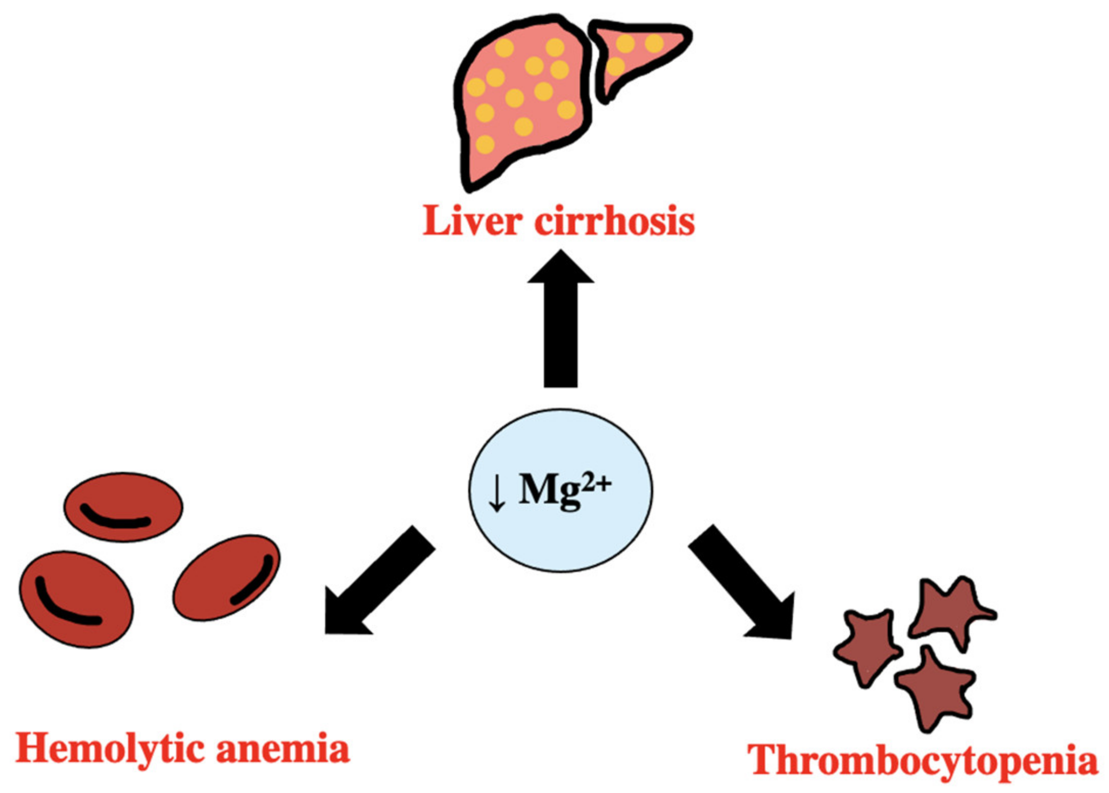 Biomedicines 11 01343 g007 Biomedicines 11 01343 g007