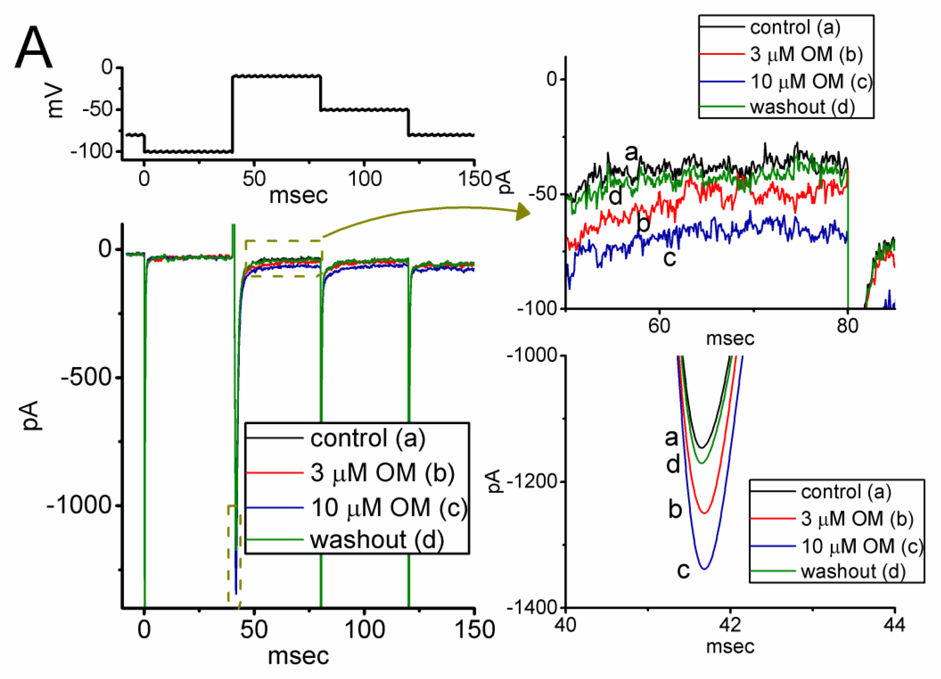 Biomedicines 11 01351 g001a