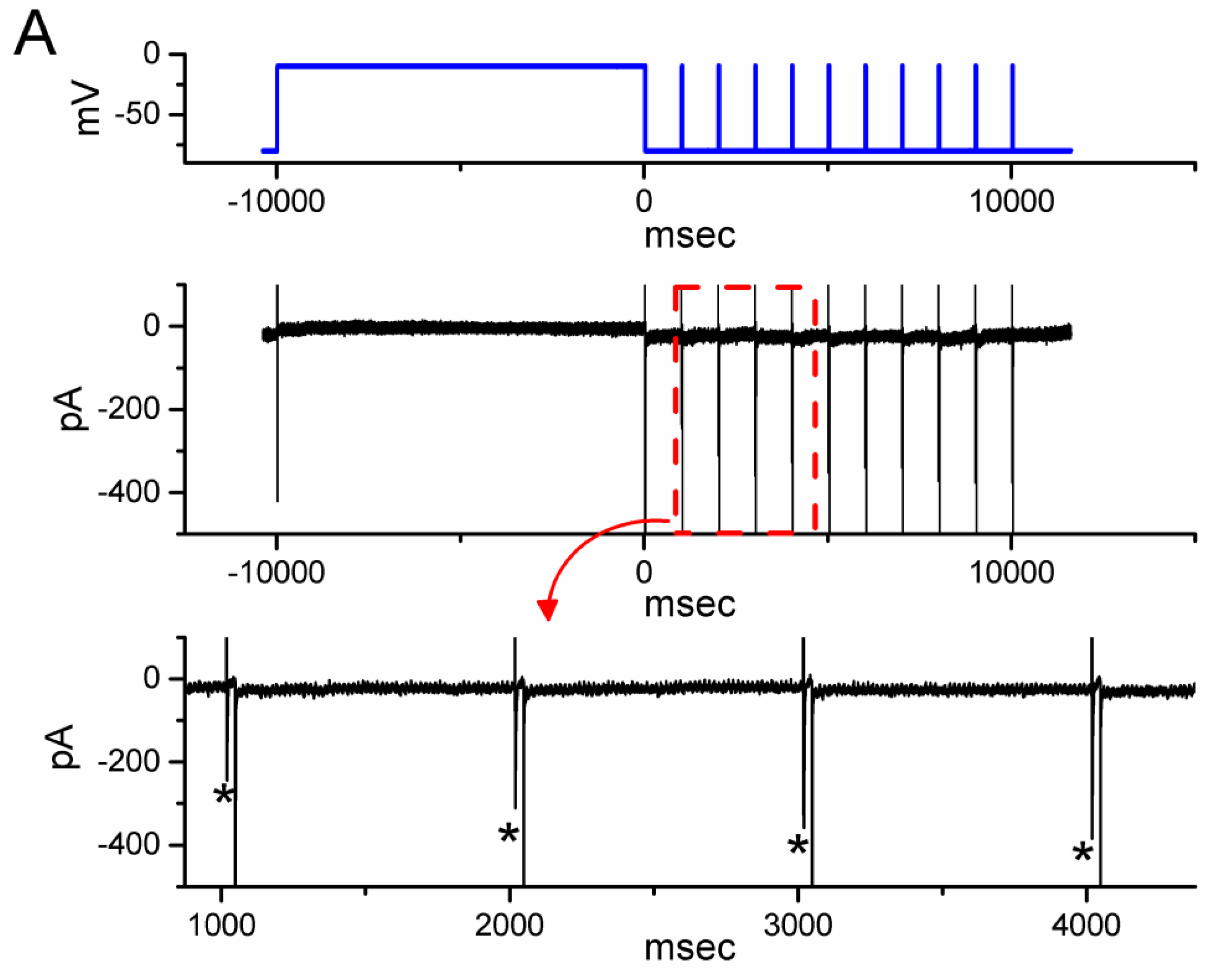 Biomedicines 11 01351 g004a
