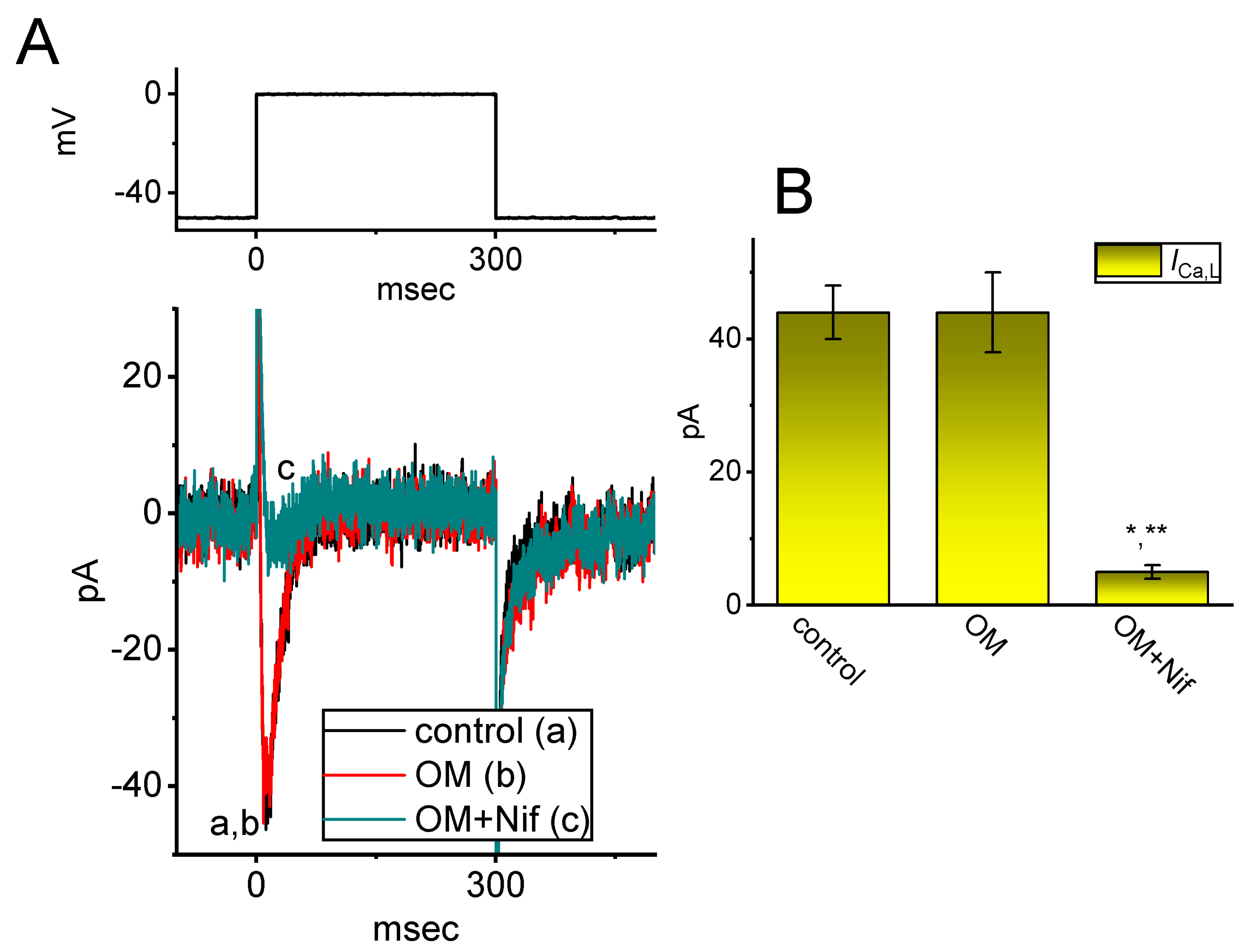 Biomedicines 11 01351 g006