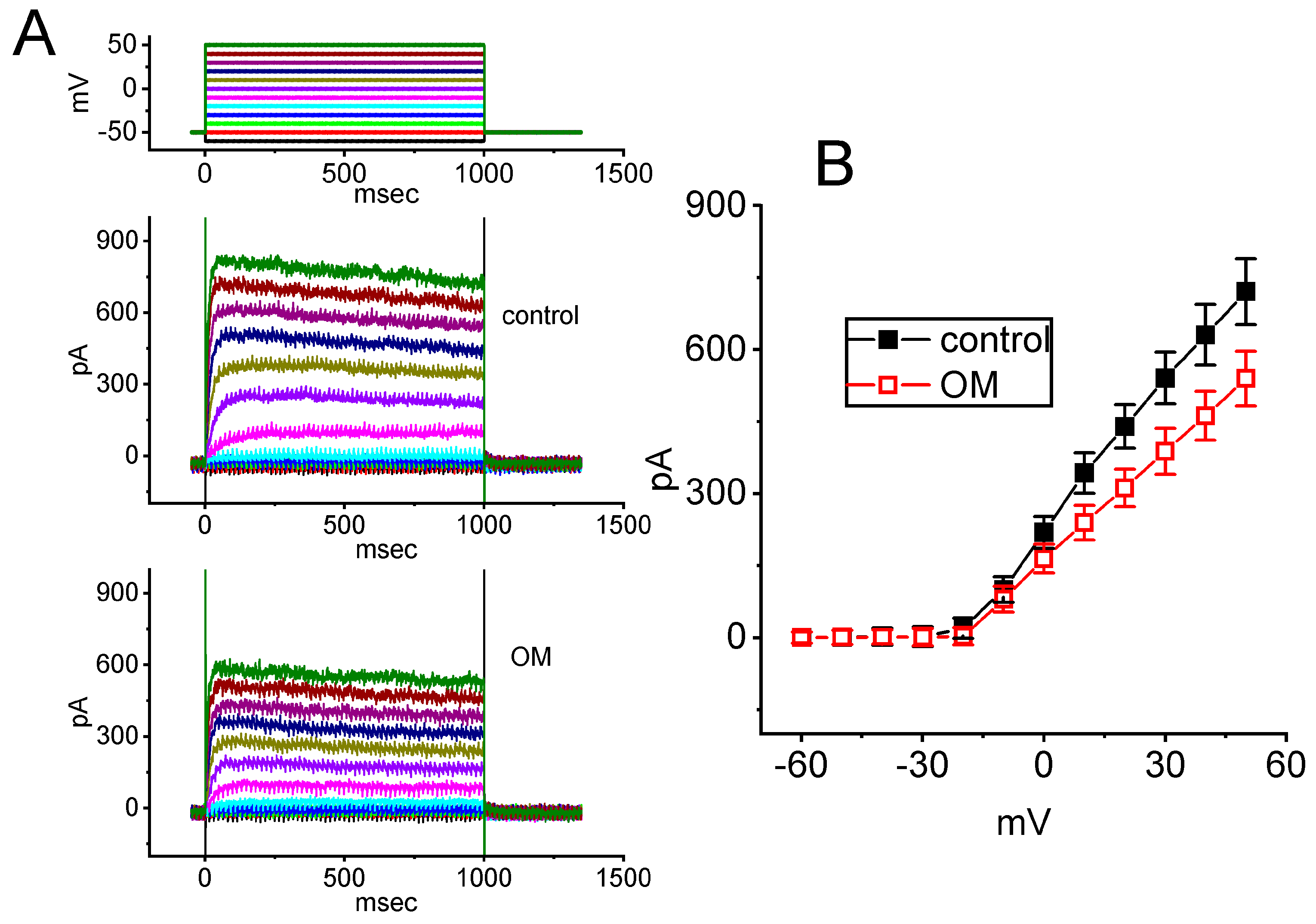 Biomedicines 11 01351 g007