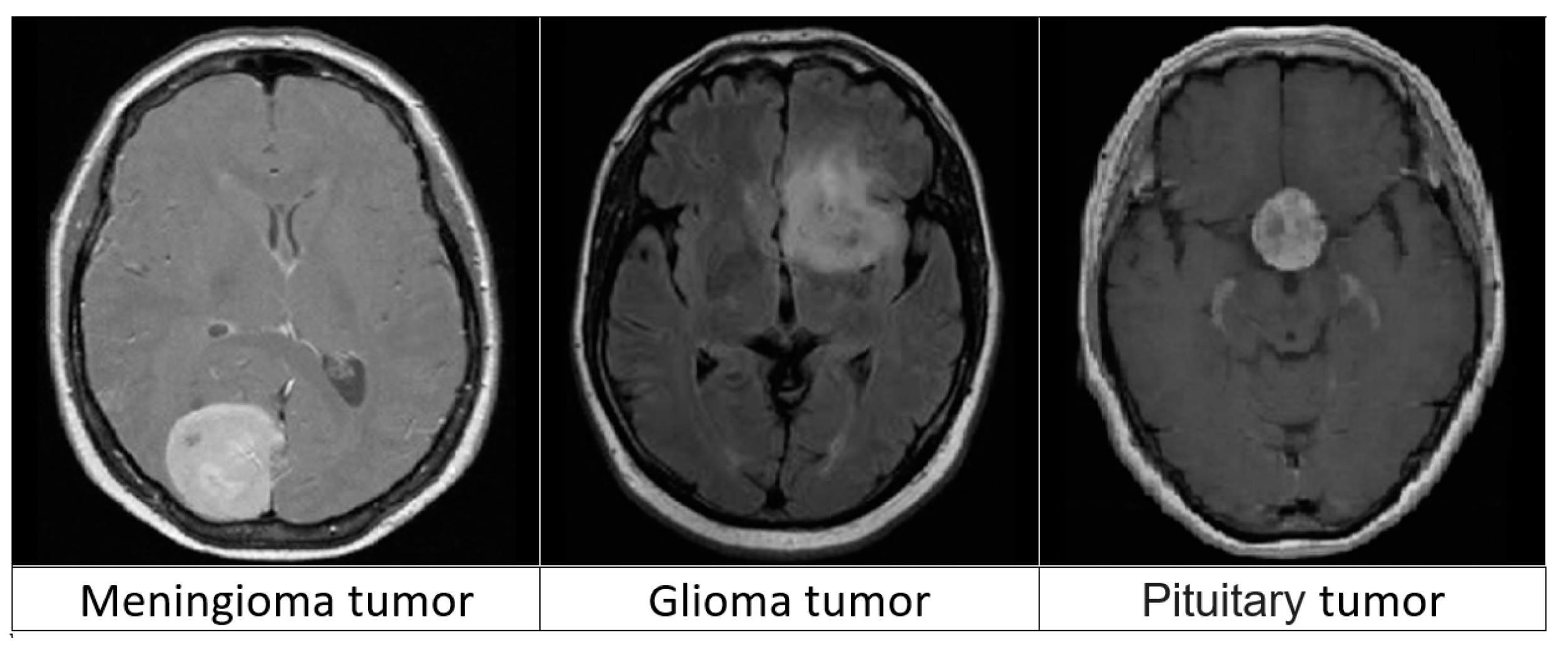 Biomedicines 11 01354 g002