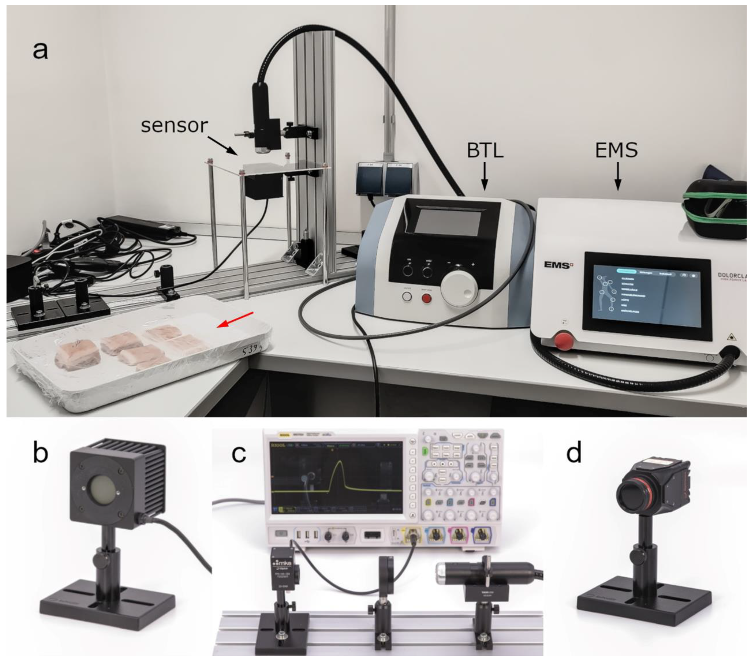 Biomedicines 11 01355 g001 Biomedicines 11 01355 g001