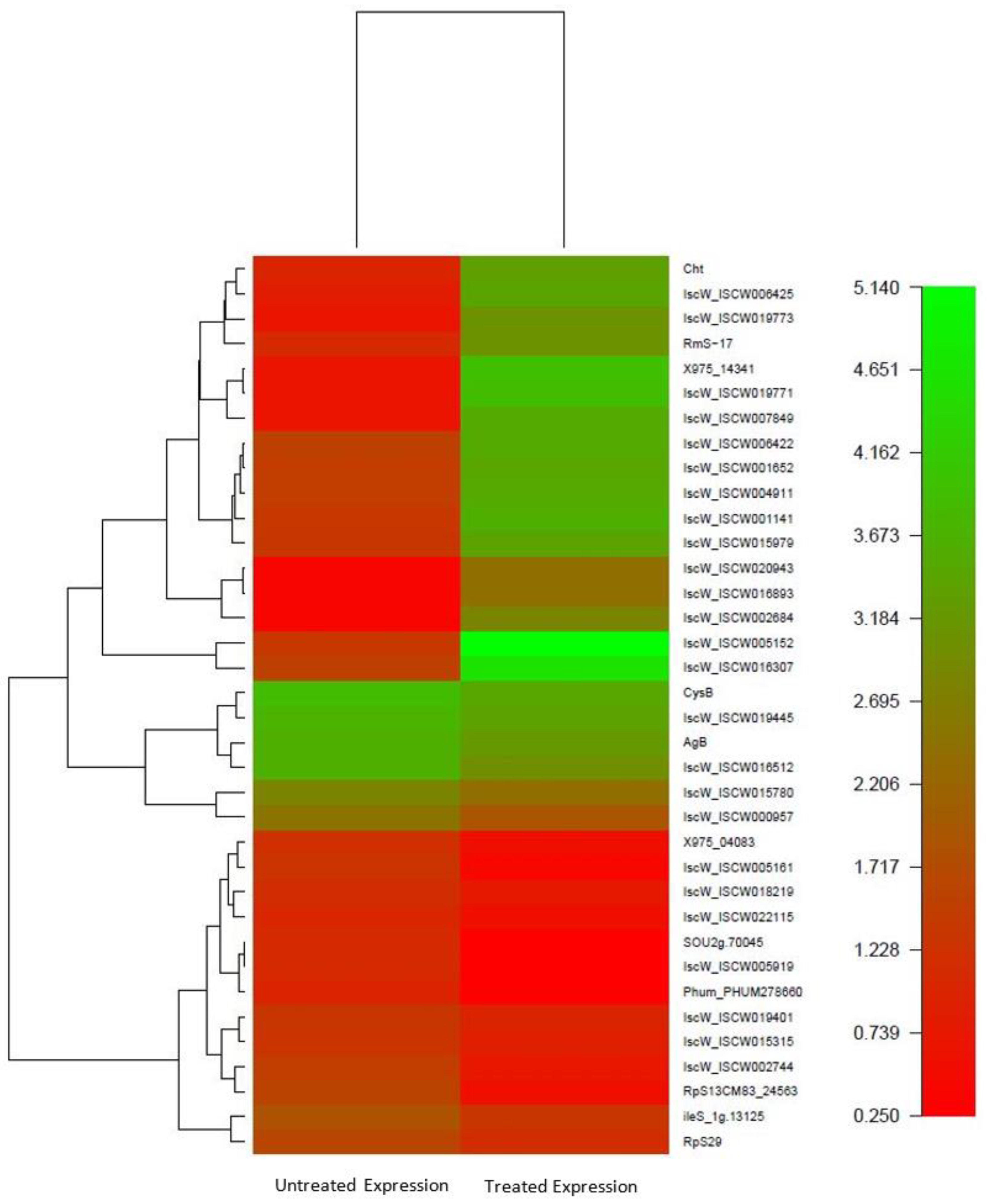 Biomedicines 11 01369 g006 Biomedicines 11 01369 g006