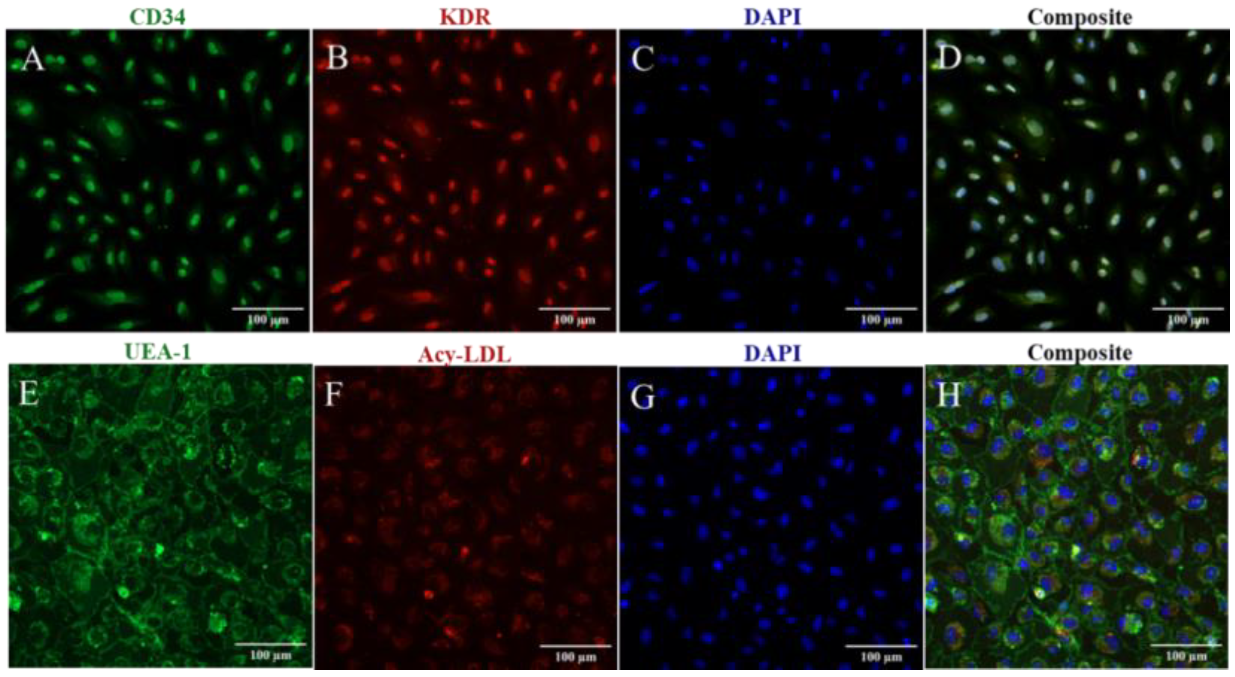 Biomedicines 11 01372 g001