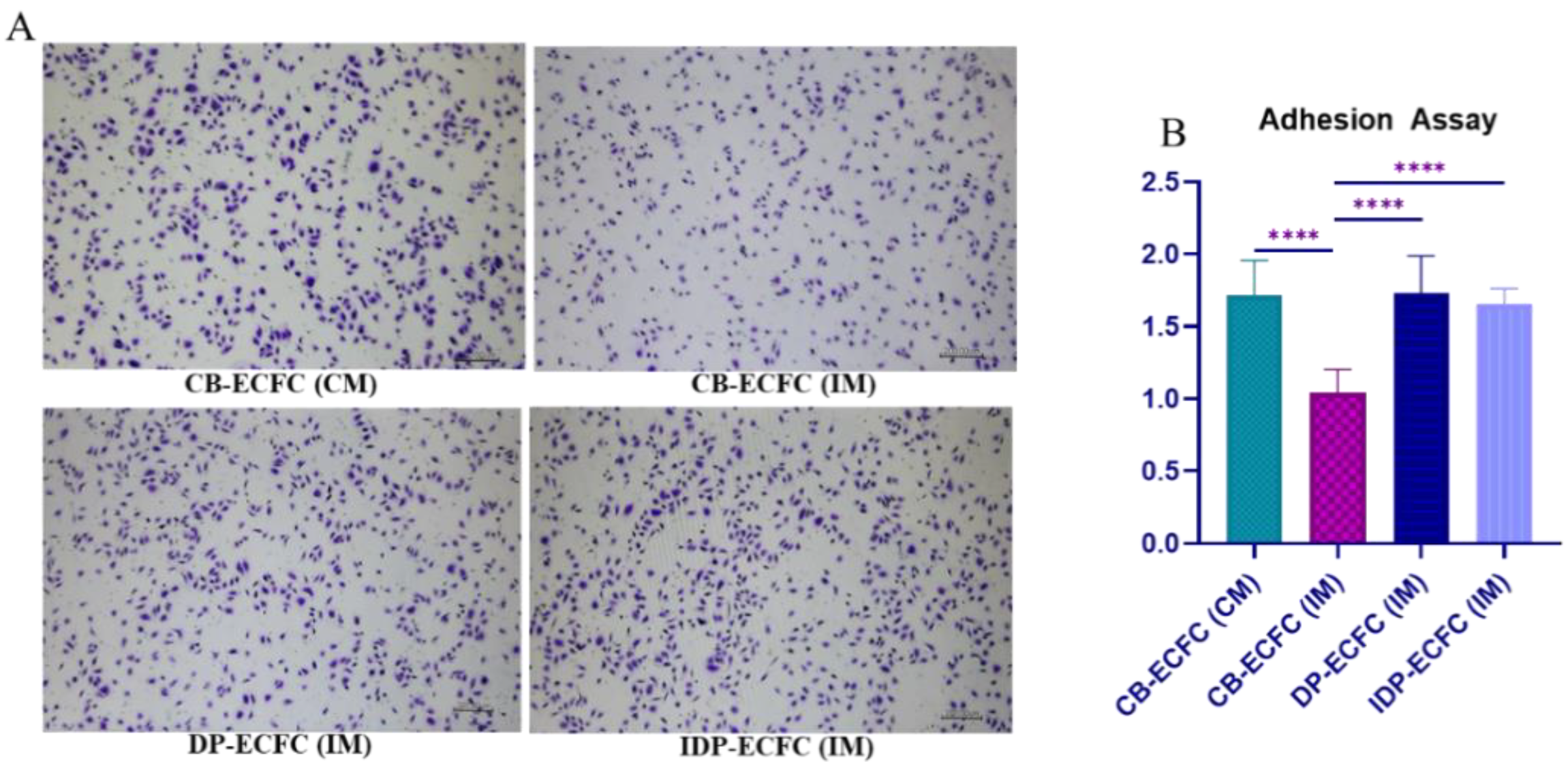 Biomedicines 11 01372 g004