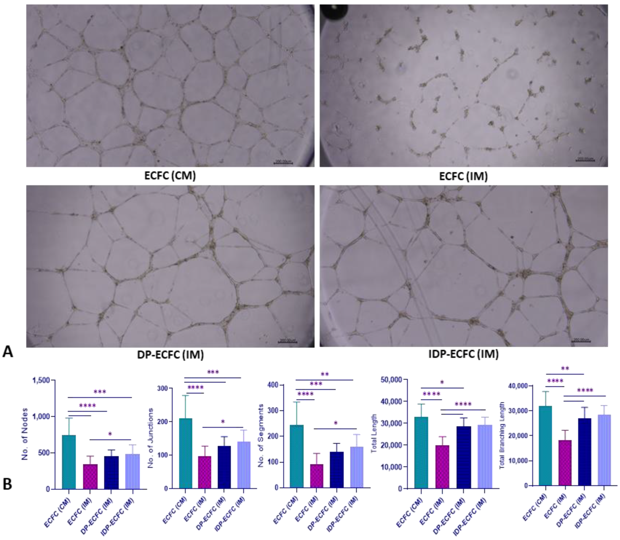 Biomedicines 11 01372 g007