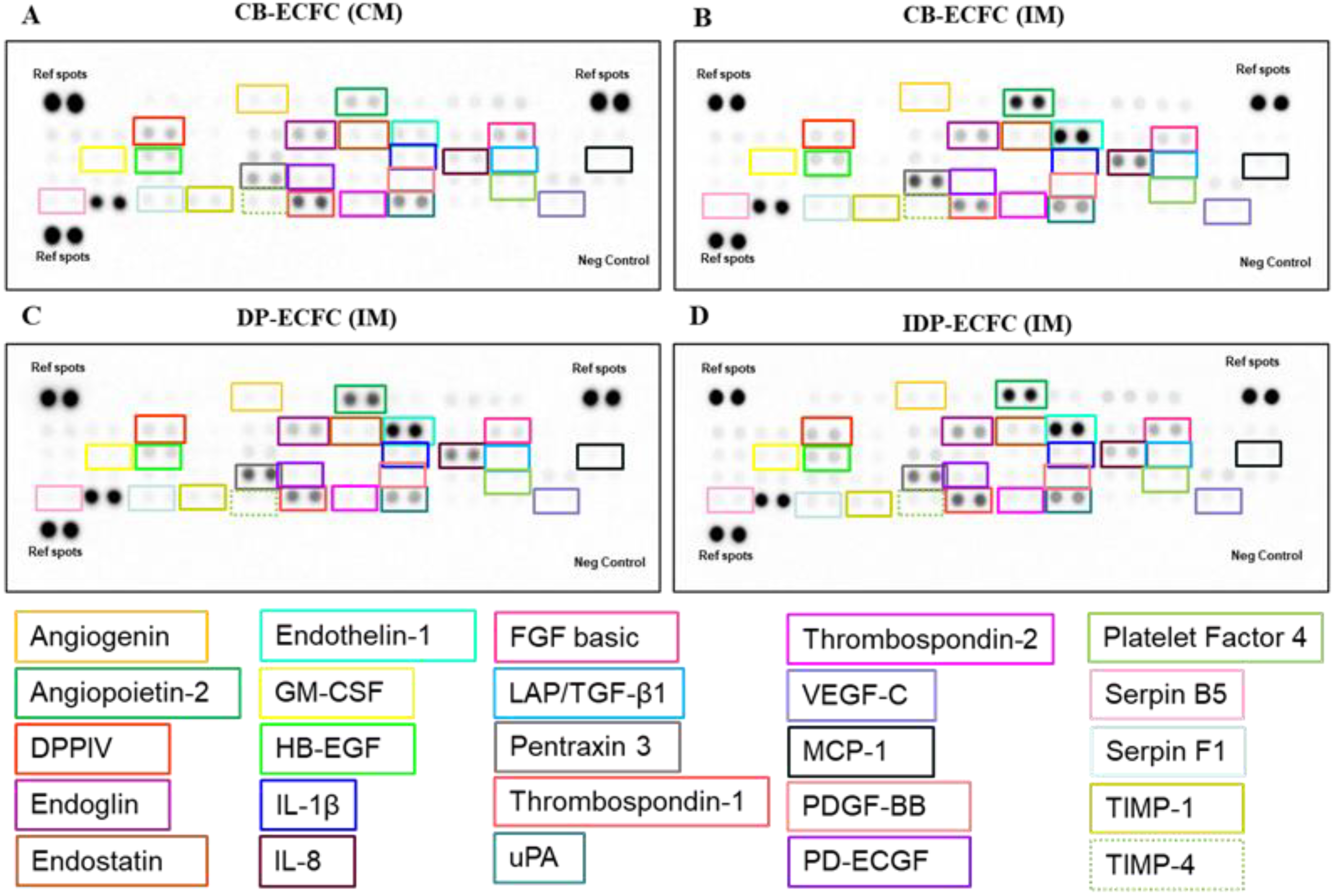 Biomedicines 11 01372 g009
