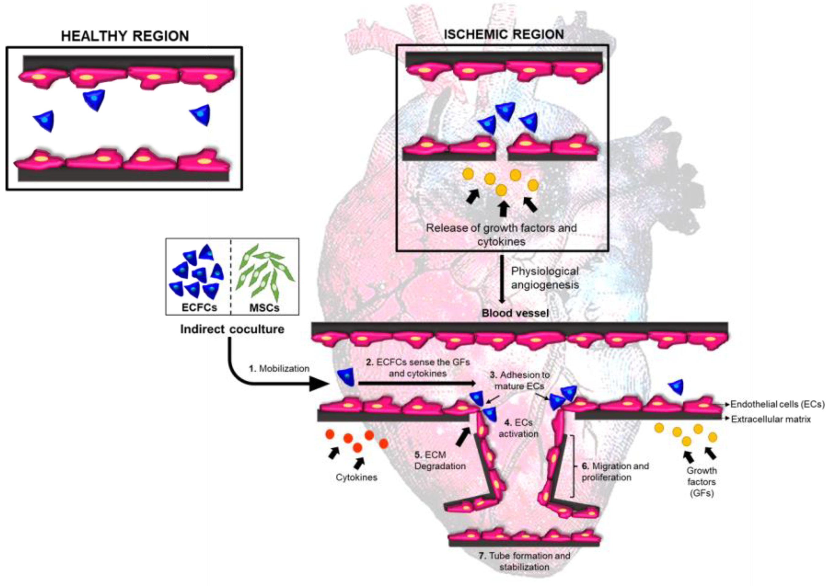 Biomedicines 11 01372 g012