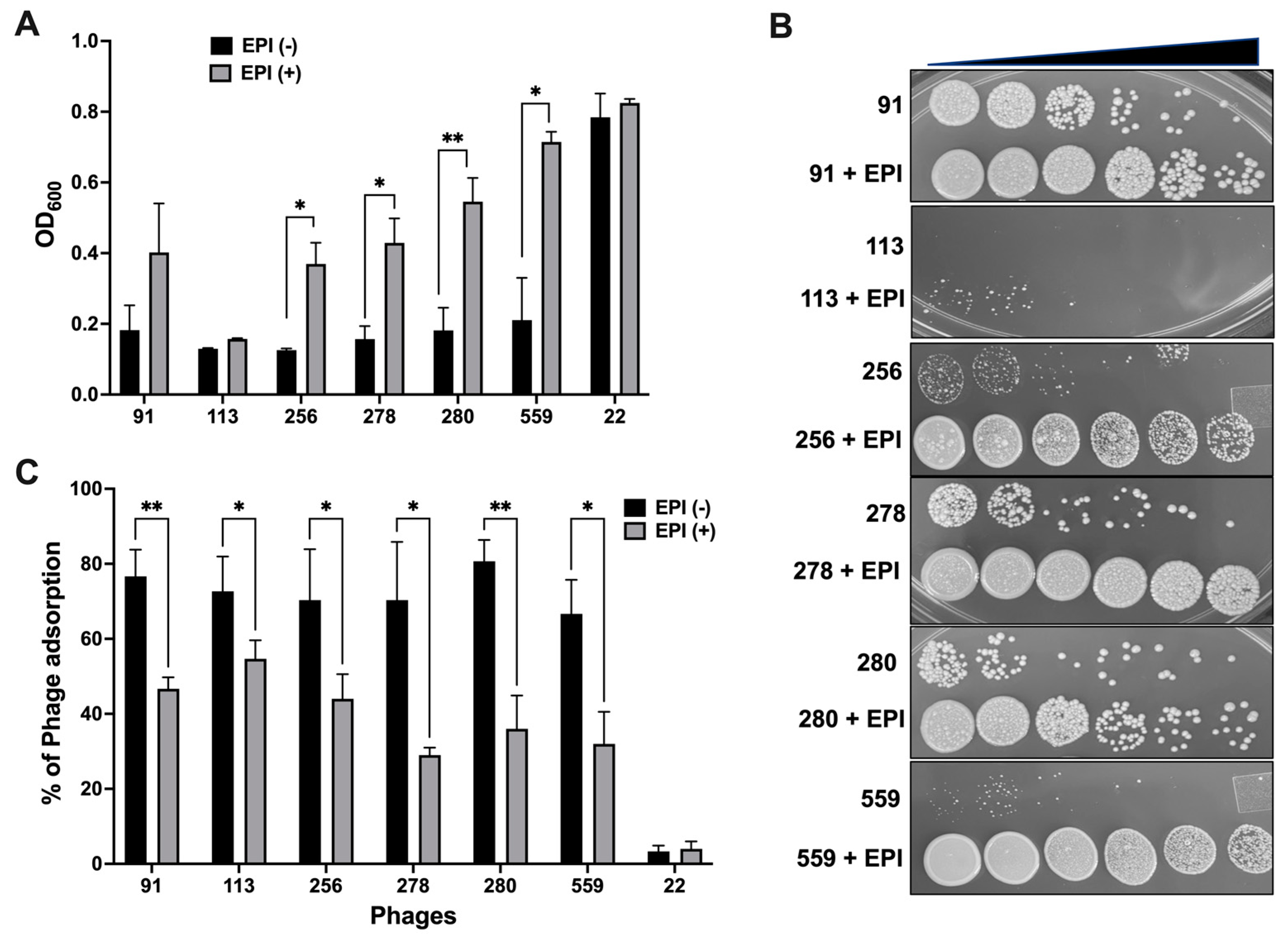 Biomedicines 11 01379 g005