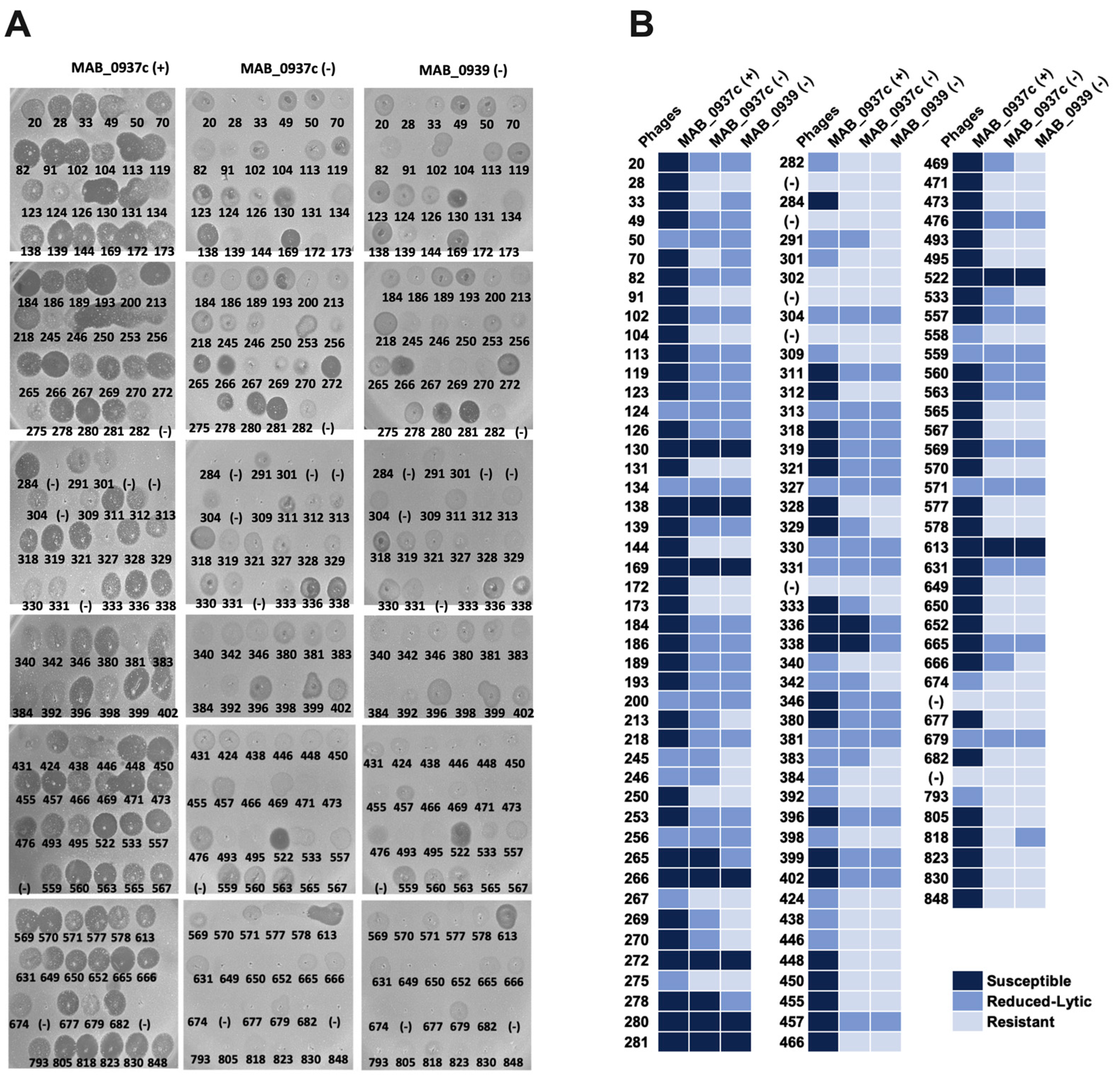 Biomedicines 11 01379 g007