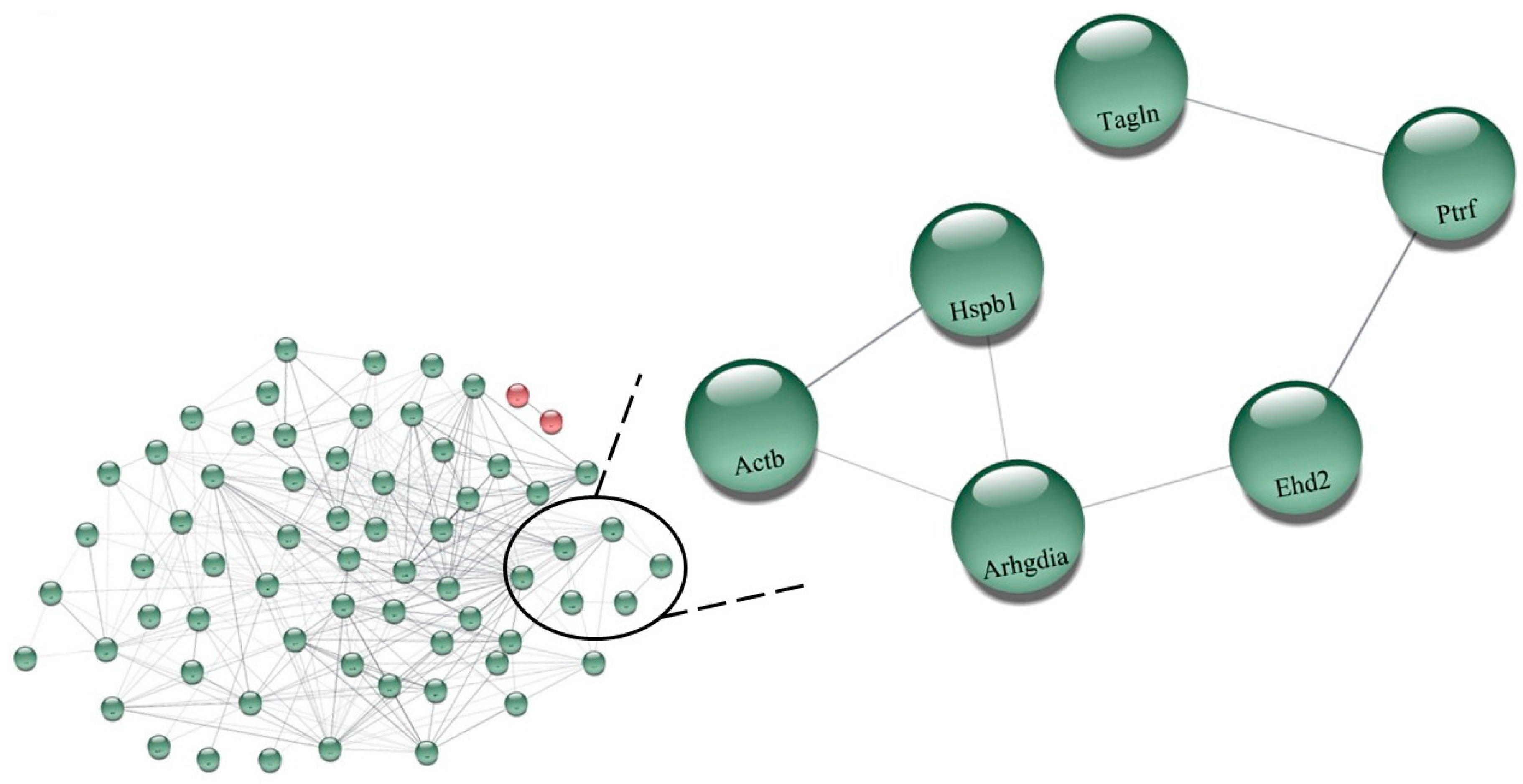 Biomedicines 11 01381 g004 Biomedicines 11 01381 g004