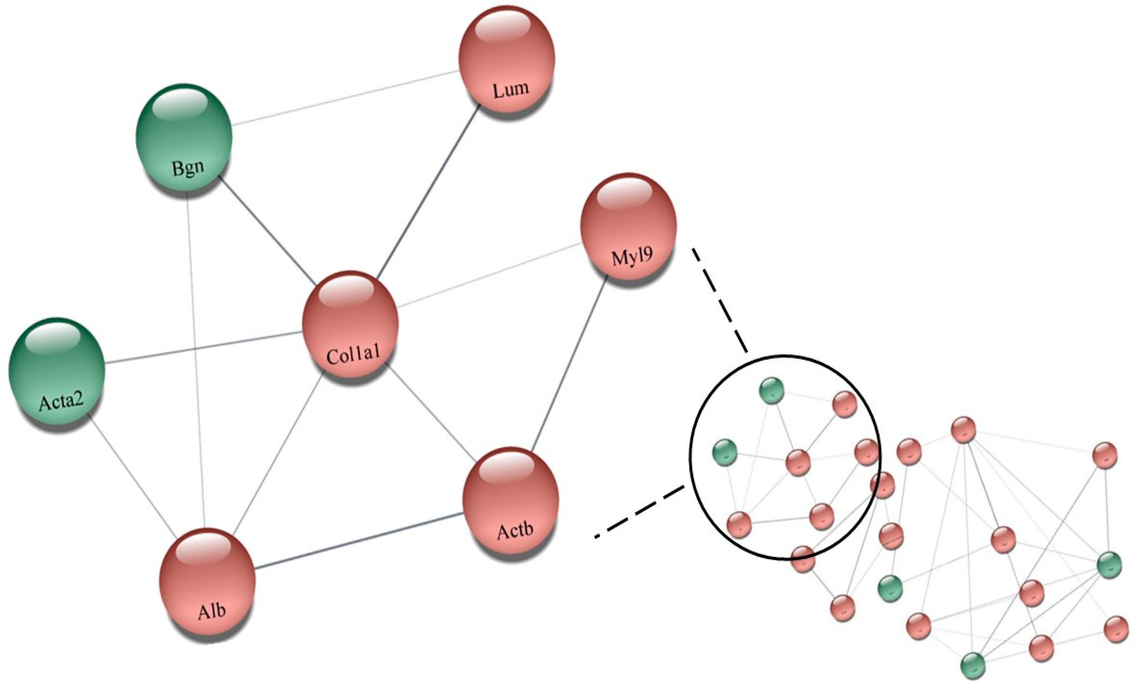 Biomedicines 11 01381 g005 Biomedicines 11 01381 g005