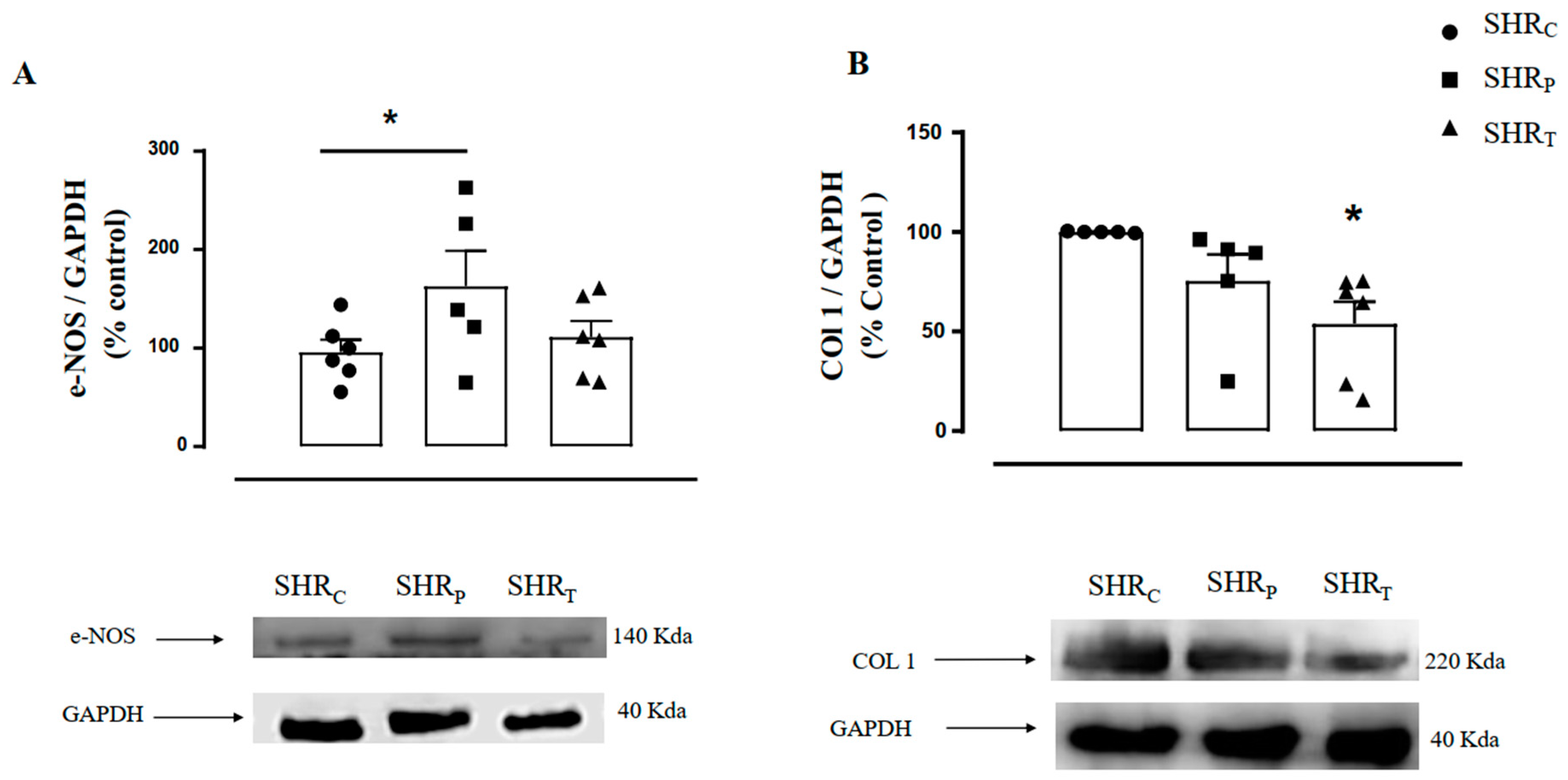 Biomedicines 11 01381 g006 Biomedicines 11 01381 g006