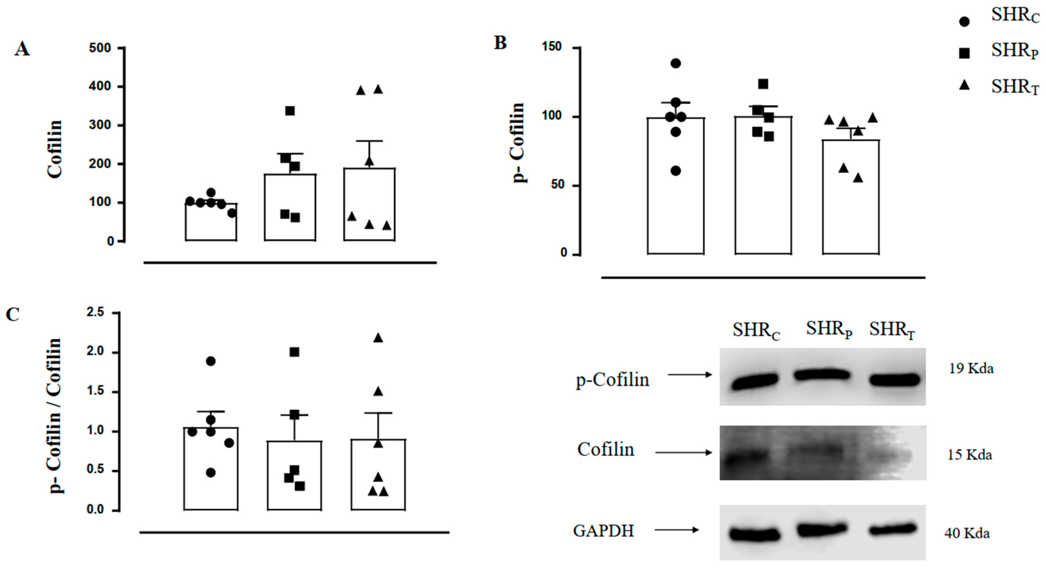 Biomedicines 11 01381 g007 Biomedicines 11 01381 g007