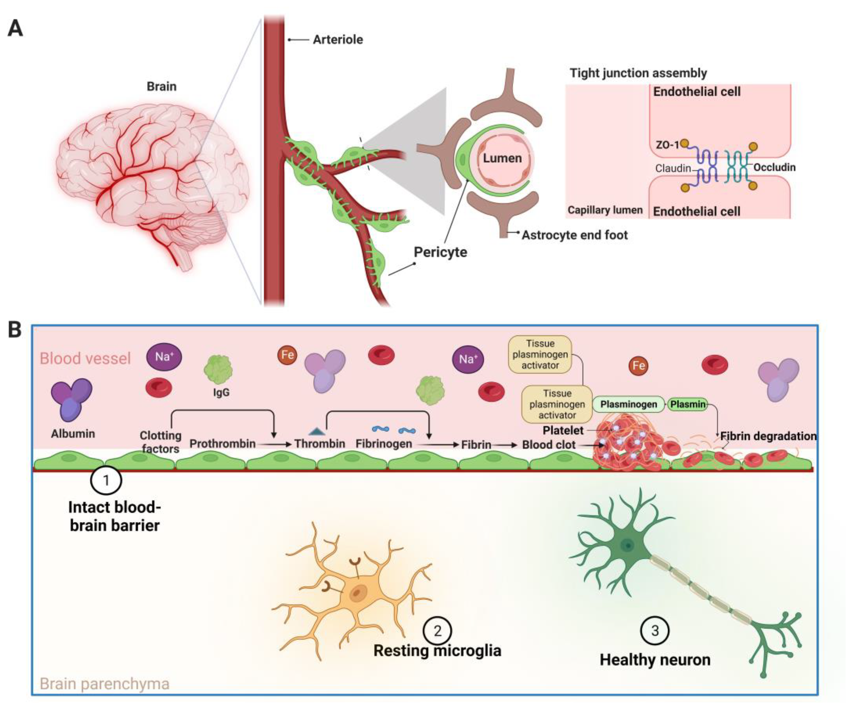 Biomedicines 11 01383 g002