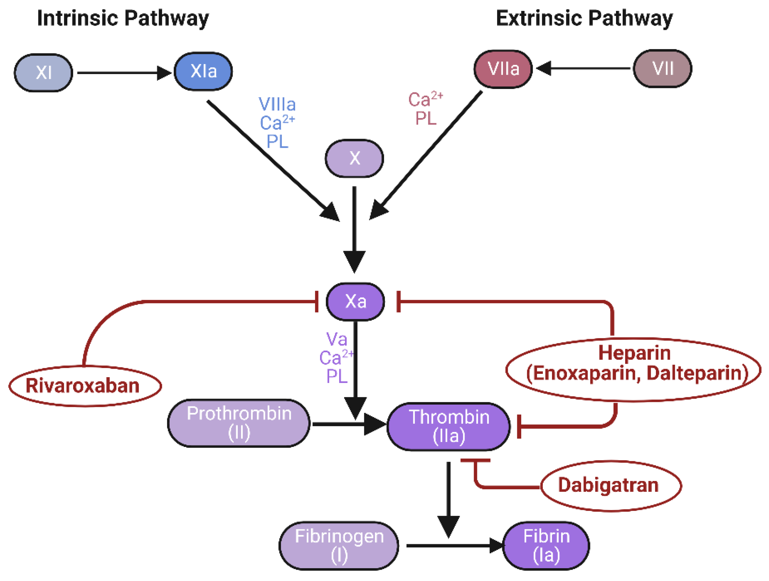 Biomedicines 11 01383 g004