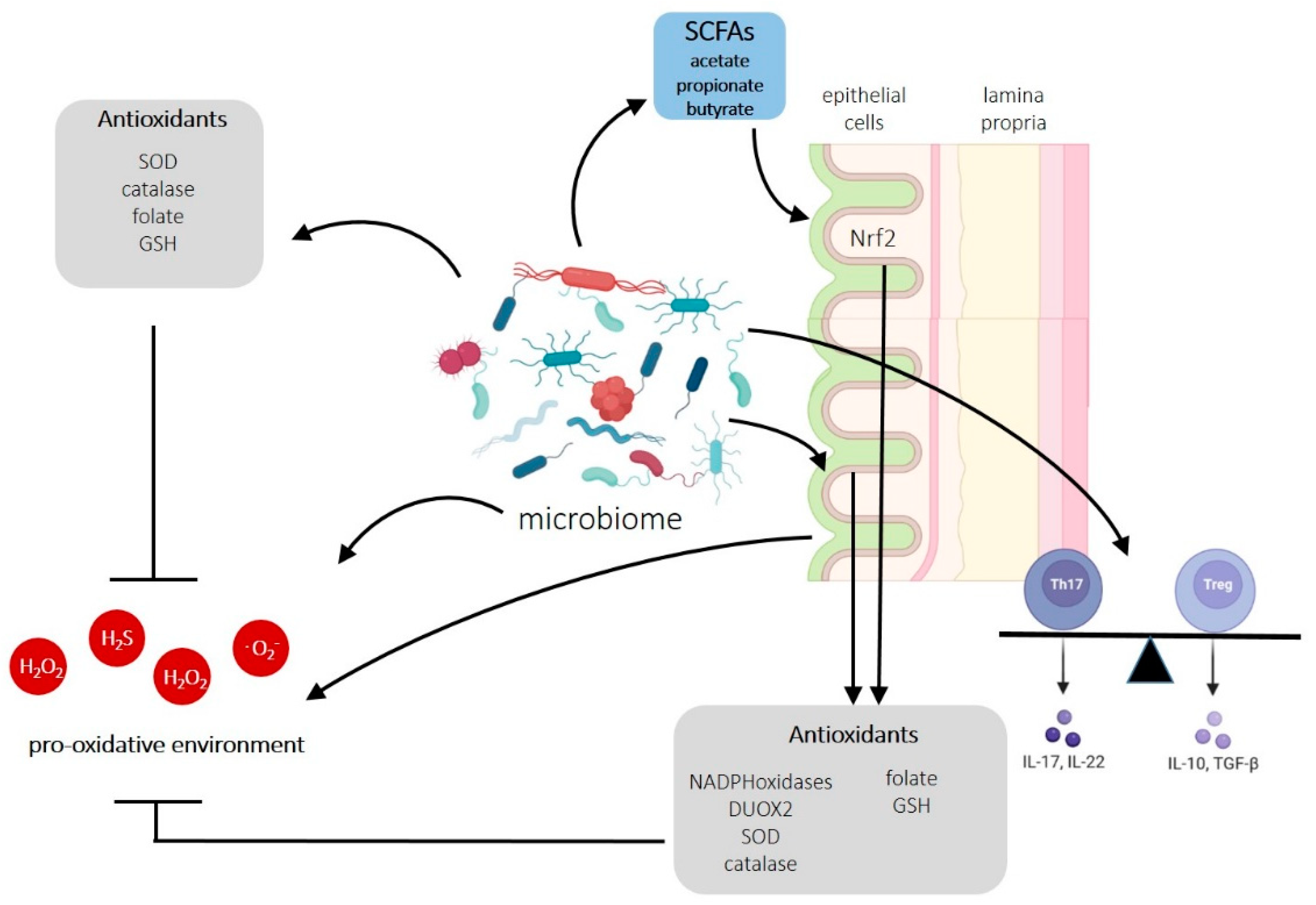 Biomedicines 11 01388 g003