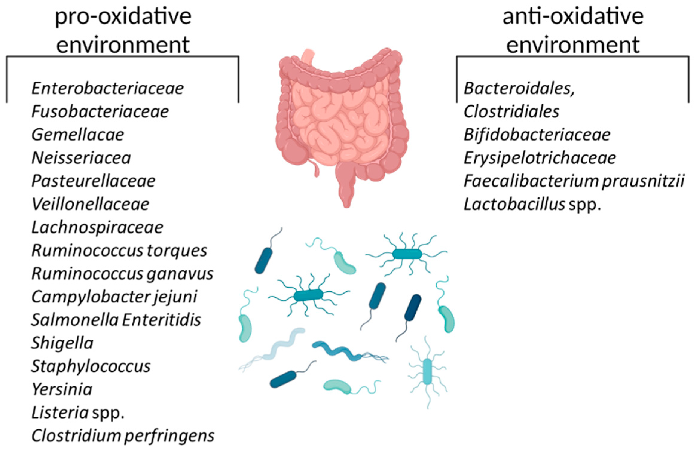 Biomedicines 11 01388 g004