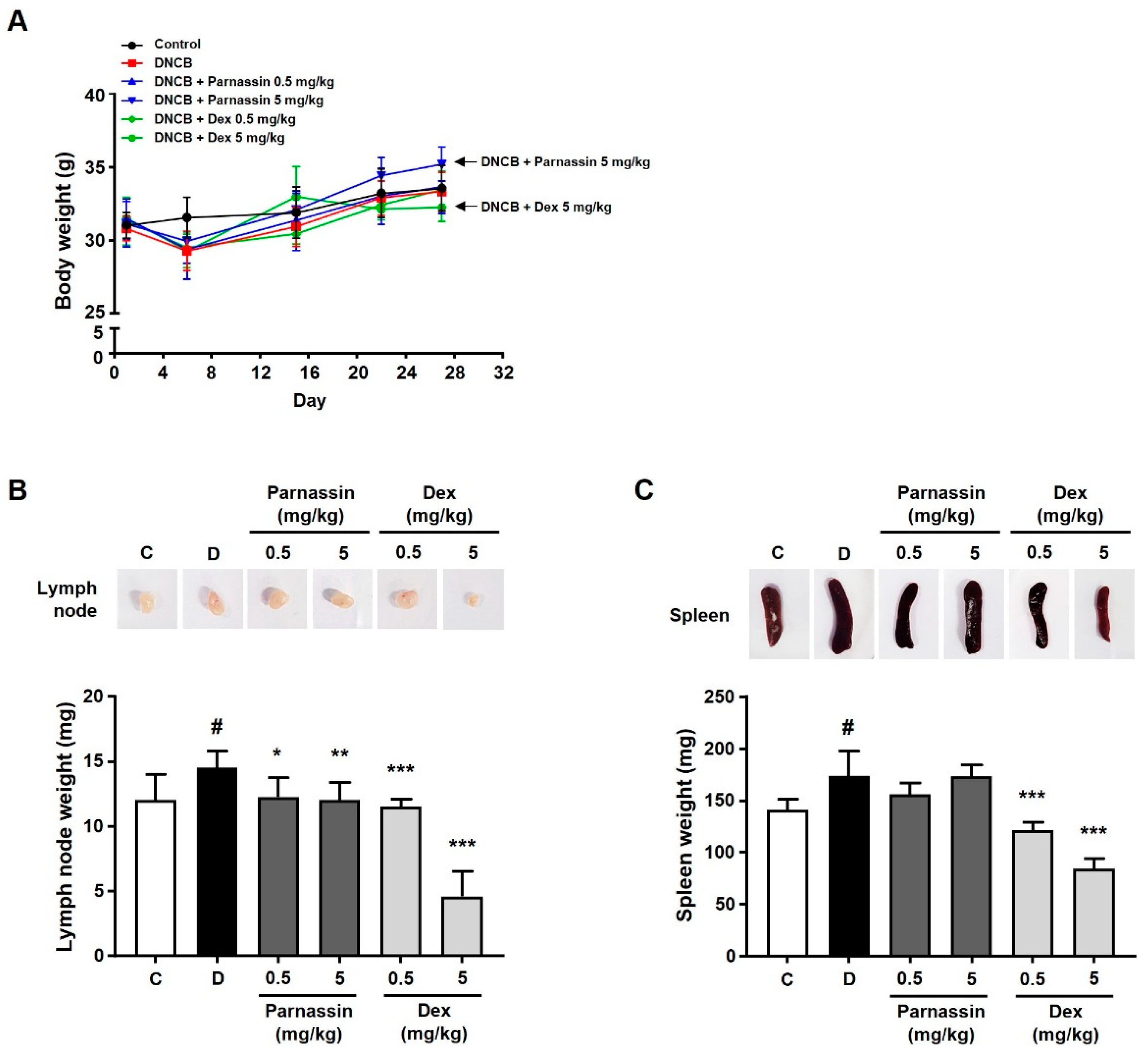 Biomedicines 11 01389 g002
