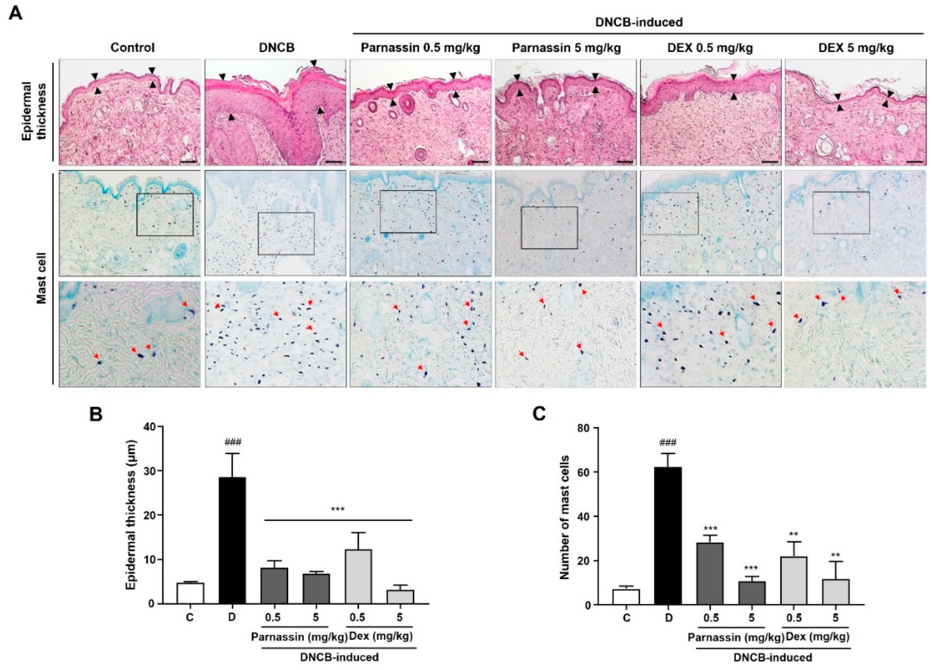 Biomedicines 11 01389 g003