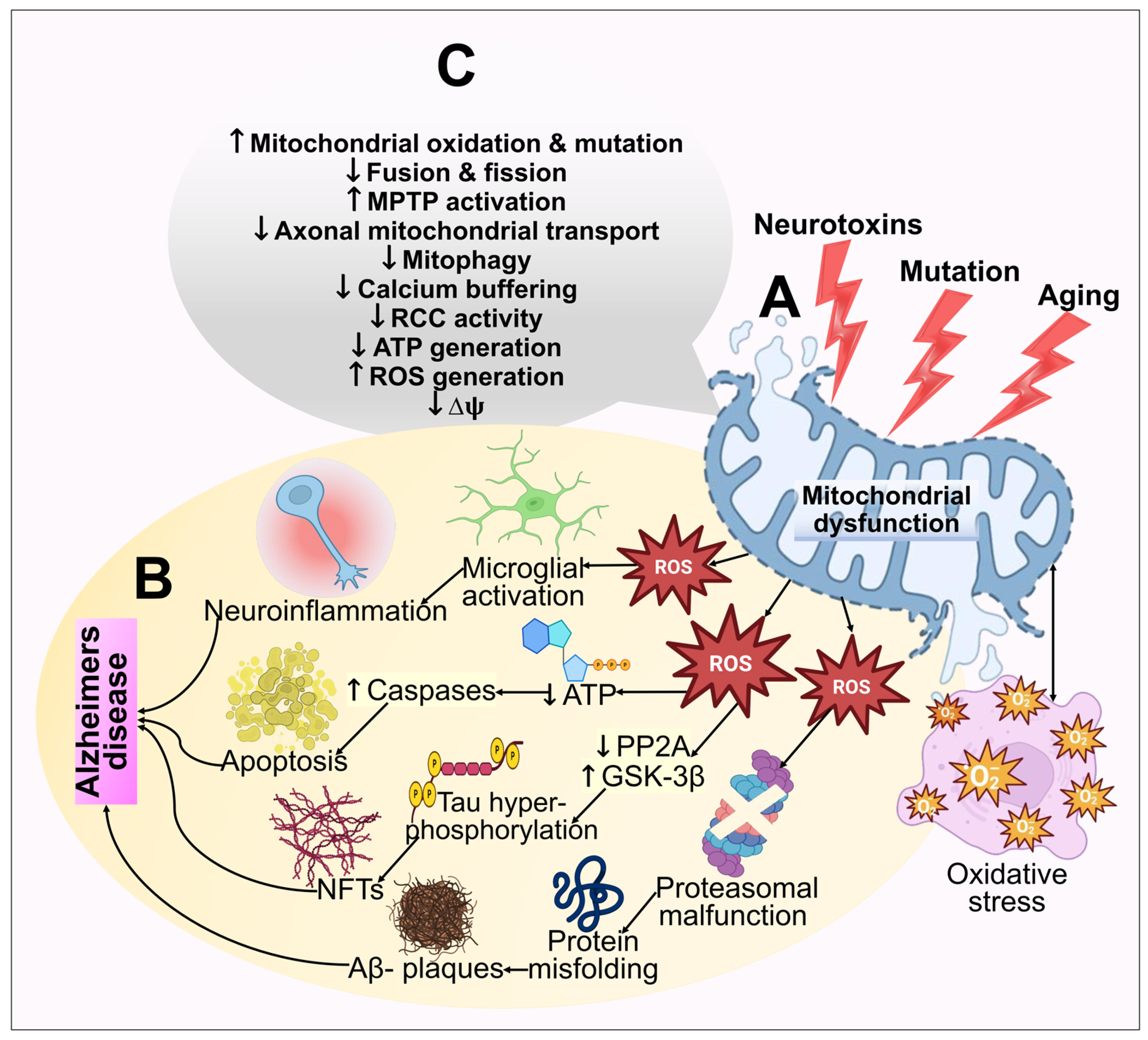 Biomedicines 11 01398 g004 Biomedicines 11 01398 g004