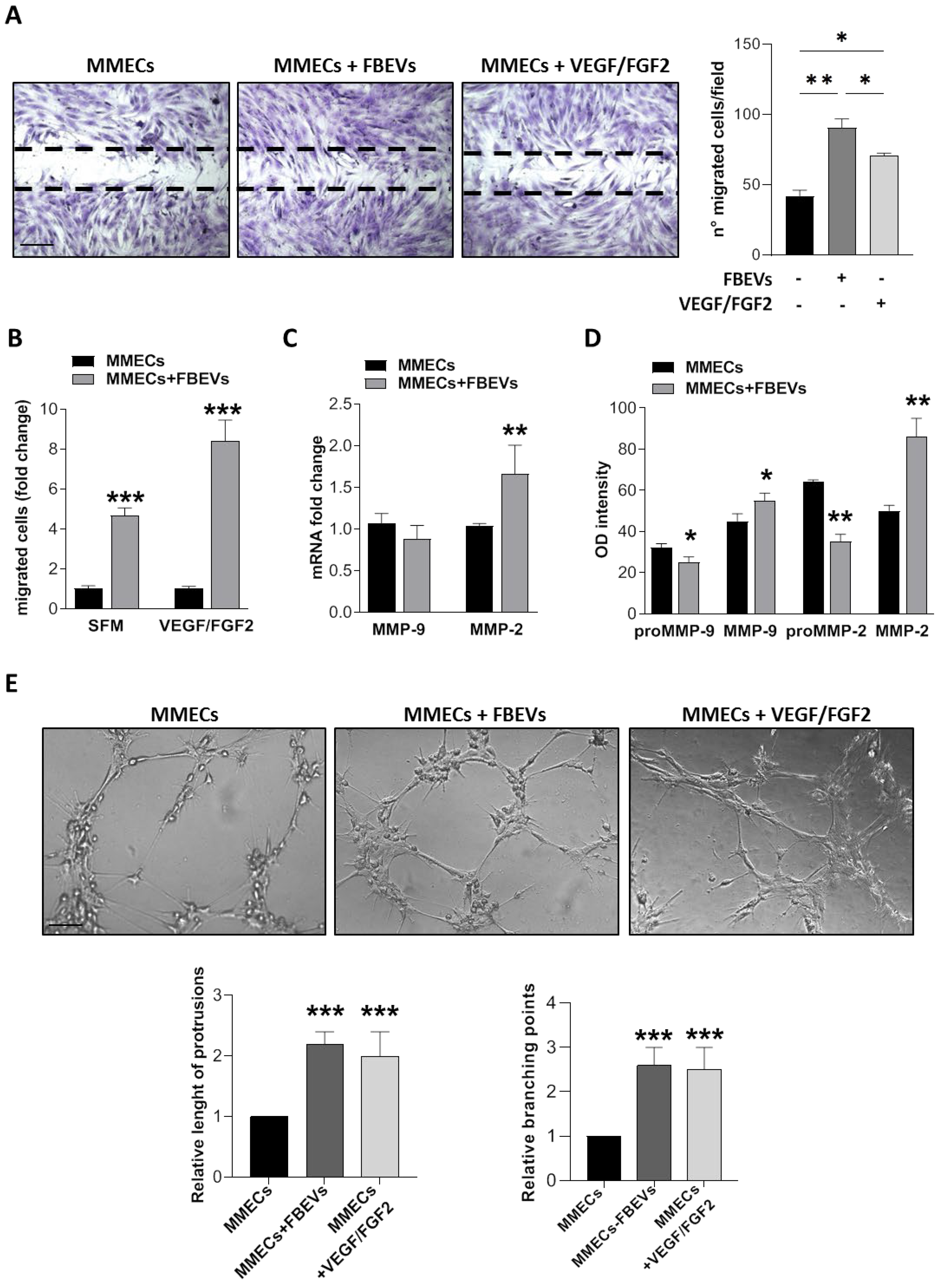 Biomedicines 11 01400 g003