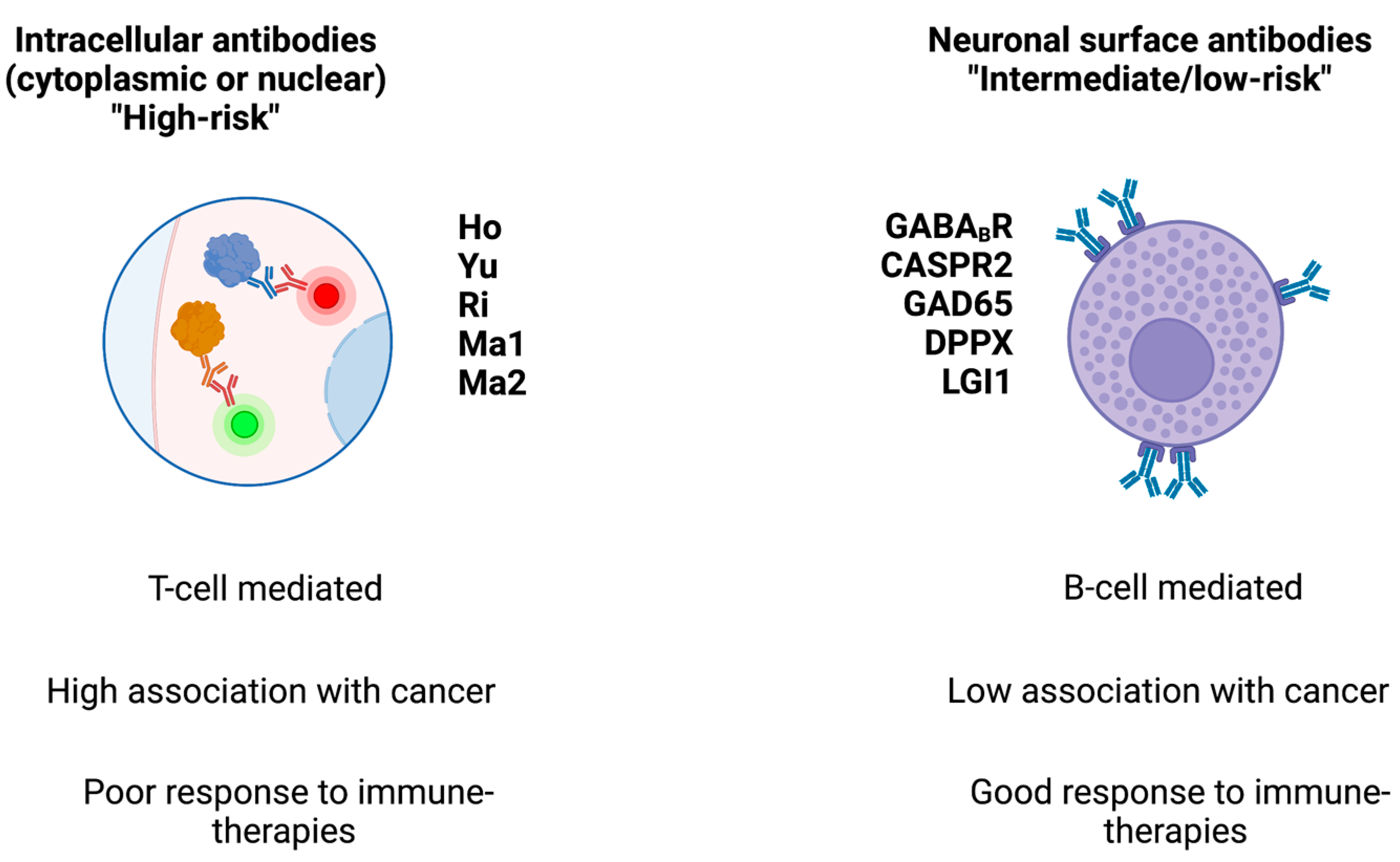Biomedicines 11 01406 g001