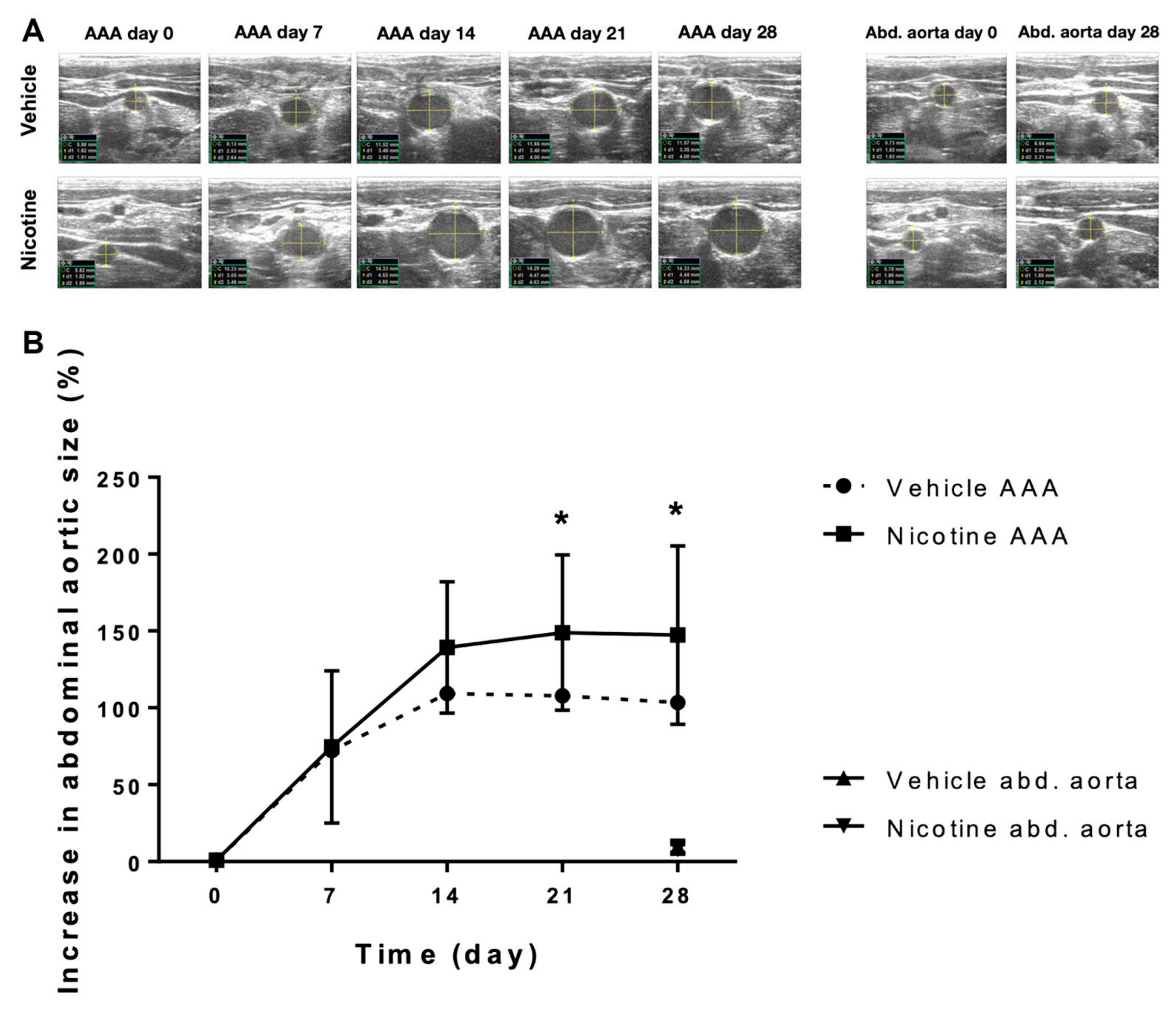 Biomedicines 11 01417 g002