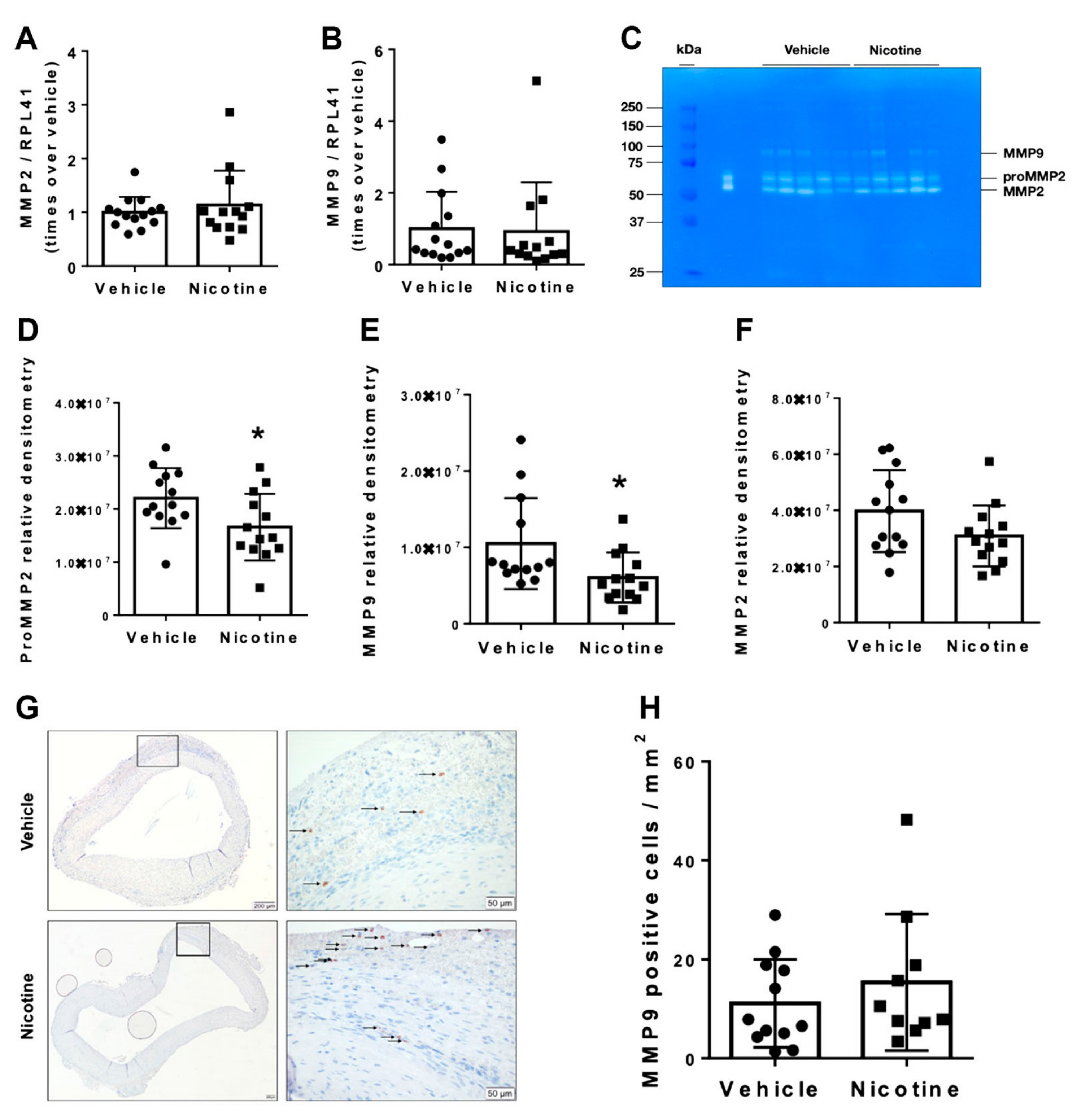 Biomedicines 11 01417 g004